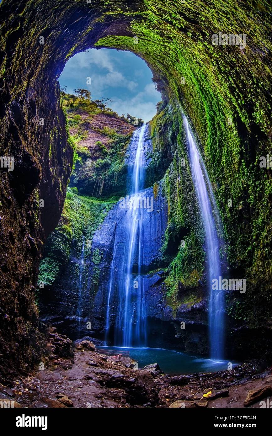 Der Madakaripura Waterfall (Probolinggo) ist der höchste Wasserfall im Deep Forest in Ost-Java, Indonesien. Der Wasserfall befindet sich in Bromo Tengger Semeru Nat Stockfoto