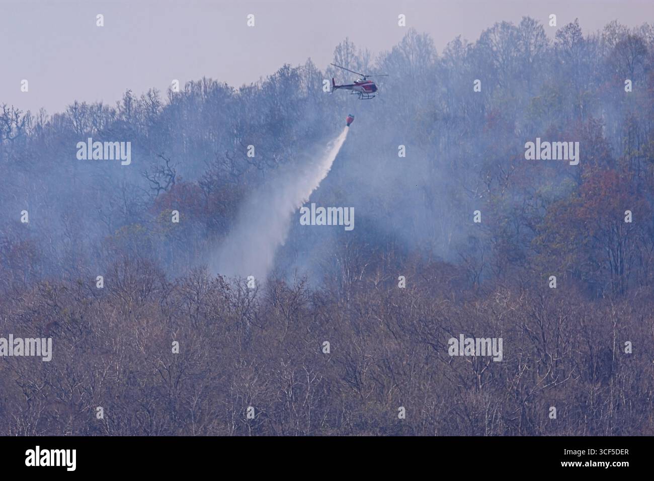 Hubschrauber, der Wasser auf ein Waldfeuer in rauem Gelände wirft Stockfoto