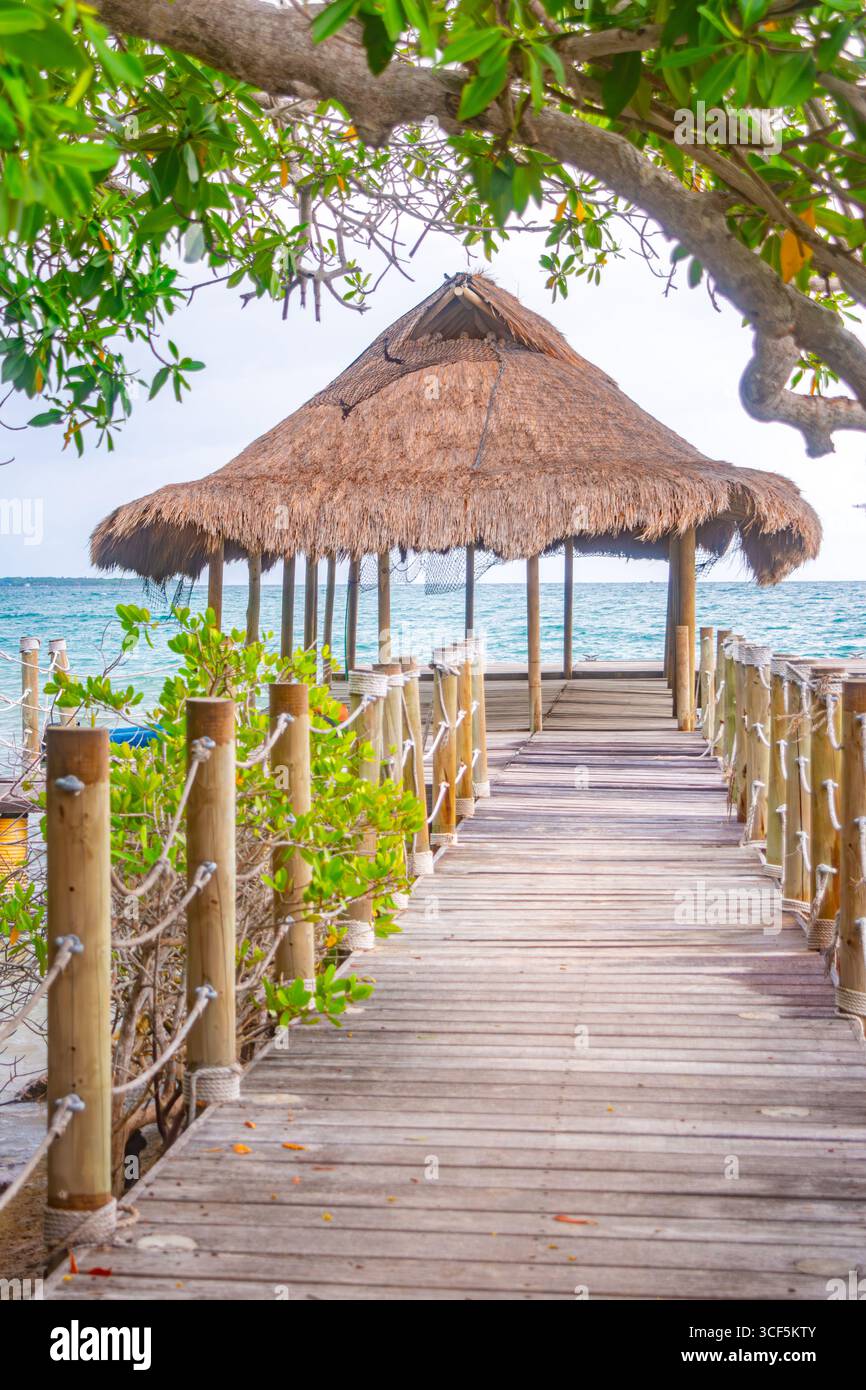 Ein ruhiger hölzerner Dock führt zu einer strohgedeckten Hütte, umgeben von üppigem Grün und schönem Meerblick auf den Rosario-Inseln, Cartagena, Kolumbien. Stockfoto