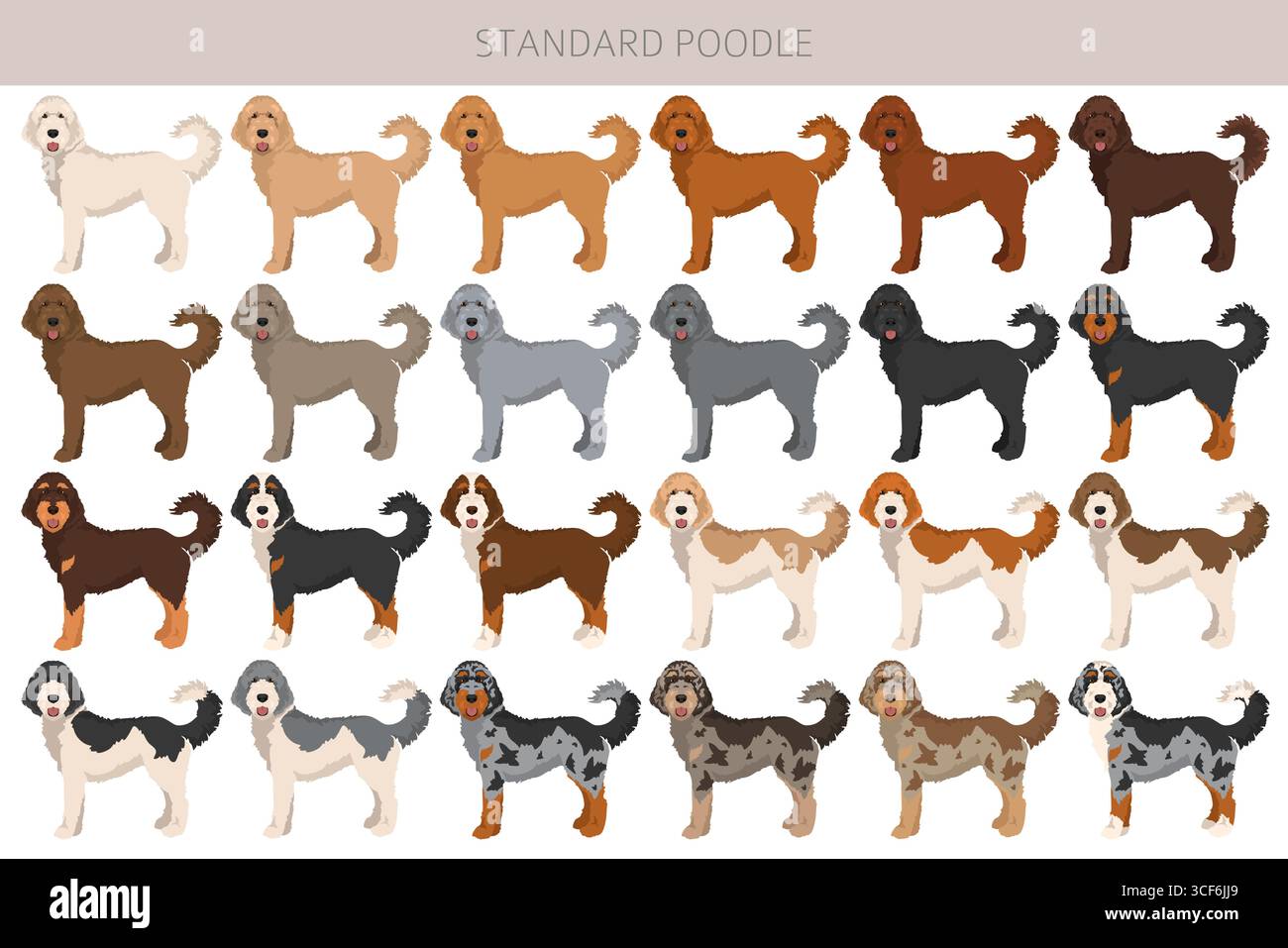 Standard-Pudel-Hunde-Clipart. Alle Lackfarben festgelegt. Vektorabbildung Stock Vektor