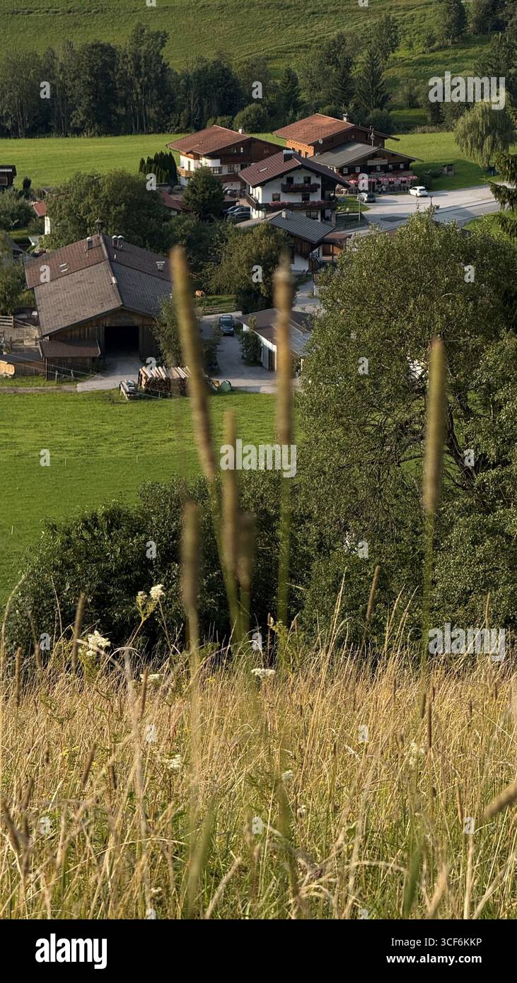 Charmantes Bergdorf in den österreichischen Alpen, umgeben von üppigem Grün. Traditionelle Häuser und Scheunen schaffen eine ruhige und idyllische Umgebung Stockfoto