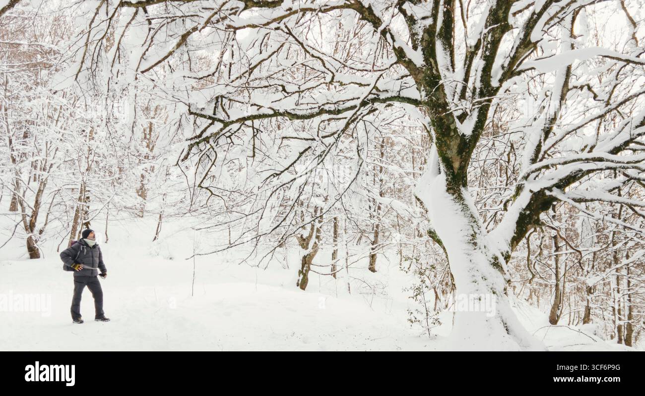 Wanderer genießen im Winter eine verschneite Waldlandschaft und erkunden die Schönheit der Natur. Araba, Baskenland, Spanien. Stockfoto