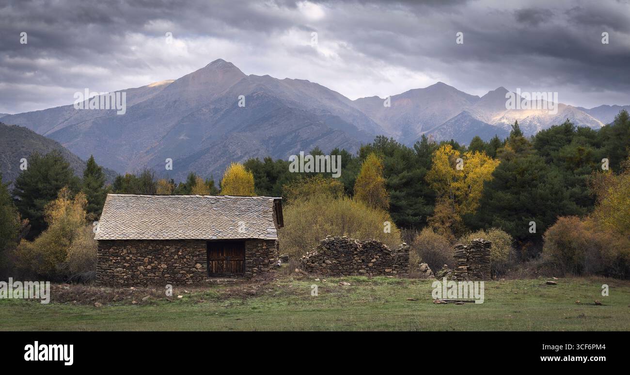 Goldene und rotbraune Blätter umschließen rustikale Ruinen unter dem bewölkten katalonischen Himmel und enthüllen das lebendige Meisterwerk der Natur, den Viros-Wald Stockfoto