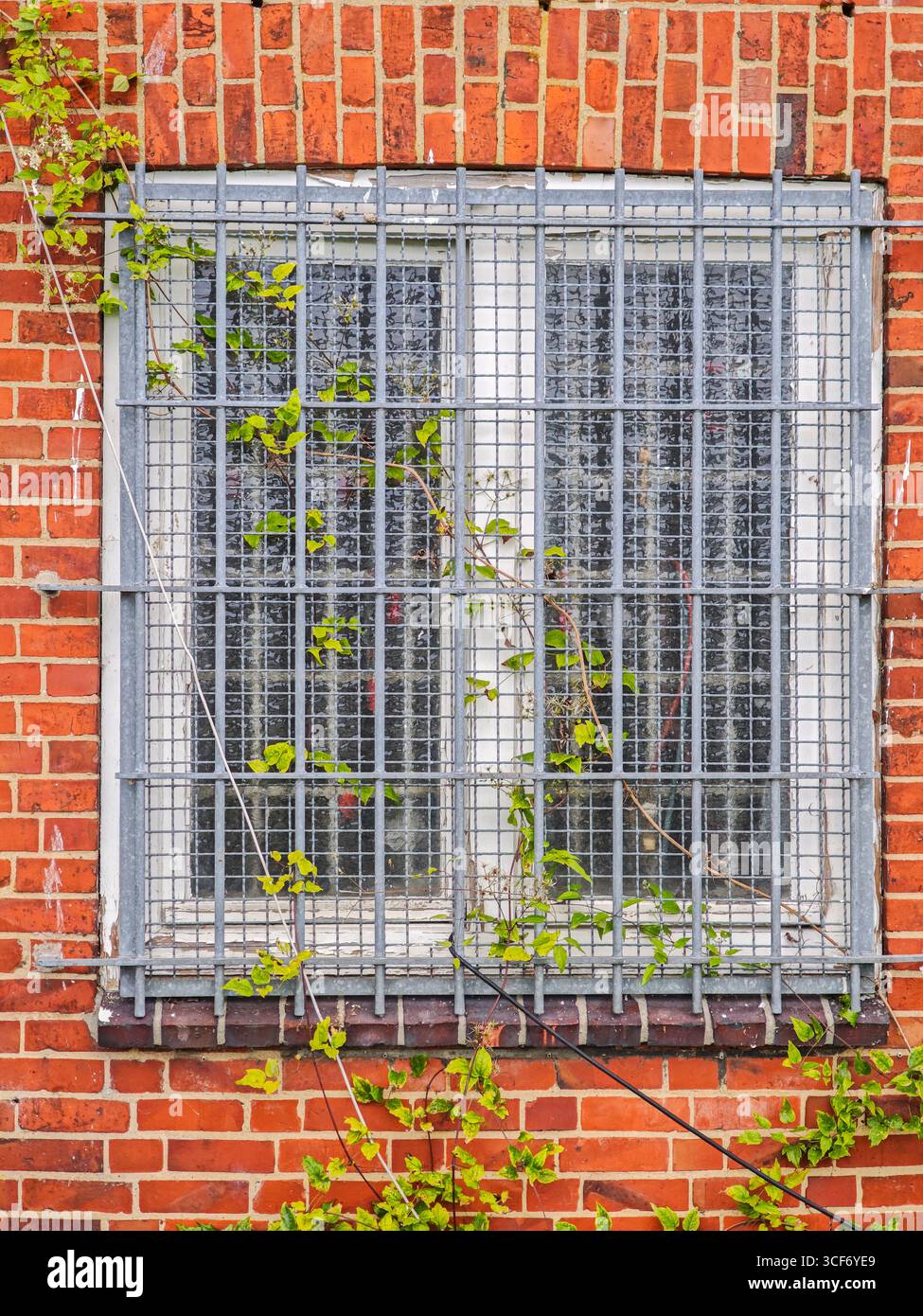 Ein altes, vergittertes Fenster, eingerahmt von einer roten Ziegelsteinhausmauer, Kiel, Schleswig-Holstein, Norddeutschland Stockfoto