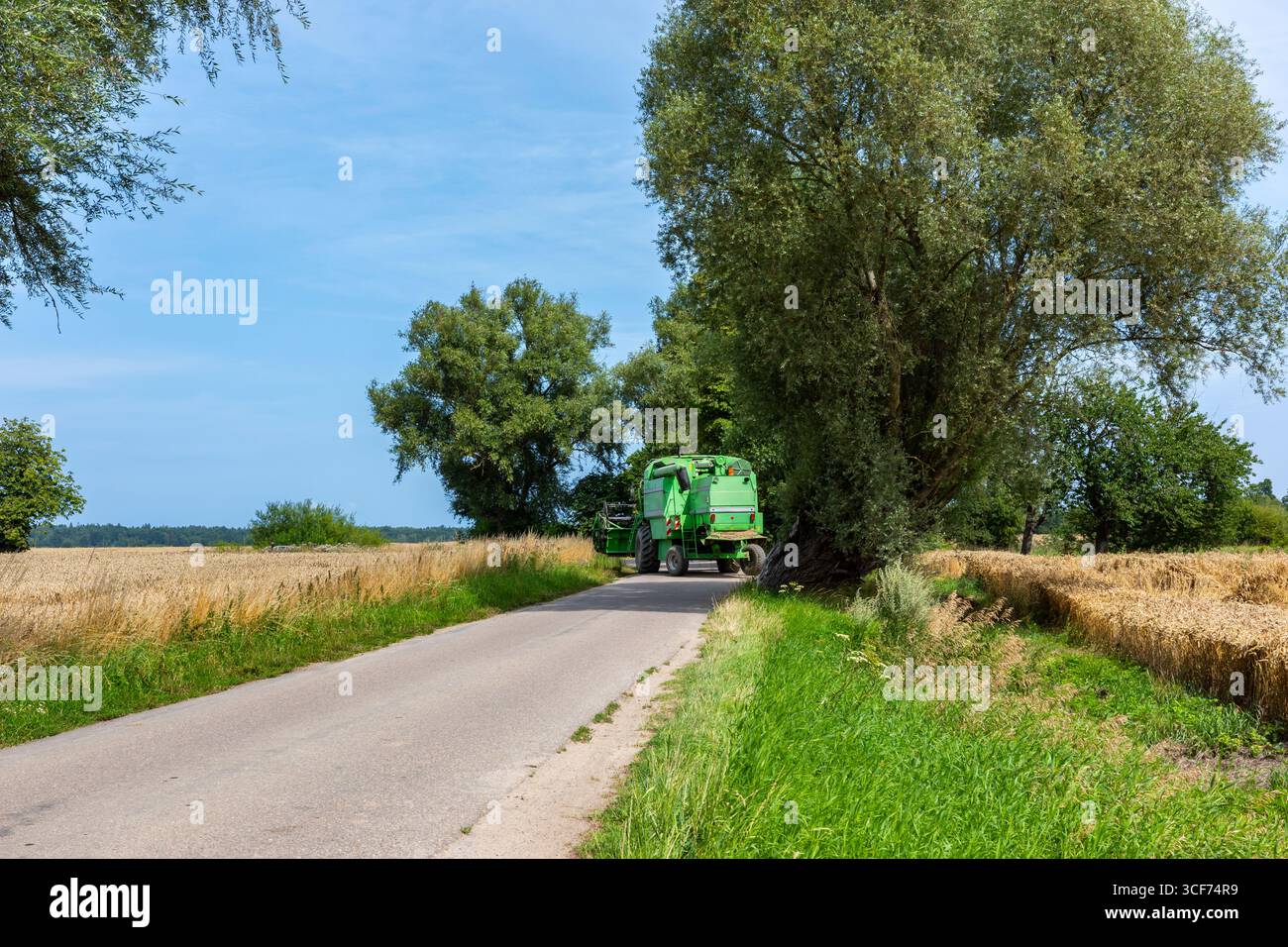 Grüne Getreideerntemaschine auf dem Weizenfeld. Sommerernte des Getreides bei sonnigem Tag. Stockfoto
