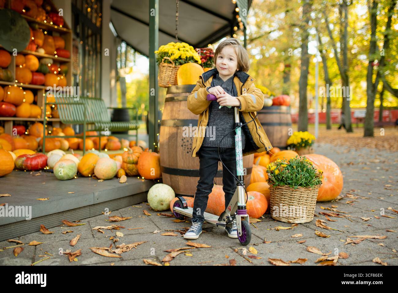 Ein fröhliches Kind steht mit einem Roller neben einem festlichen Herbstkürbis, umgeben von bunten Kürbissen und goldenen Blättern Stockfoto