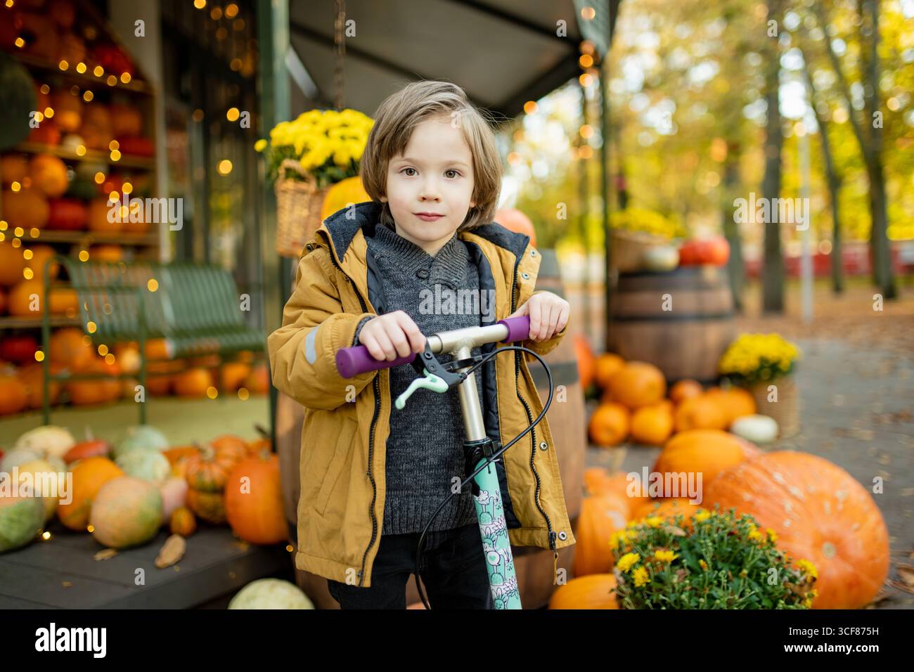 Ein fröhliches Kind steht mit einem Roller neben einem festlichen Herbstkürbis, umgeben von bunten Kürbissen und goldenen Blättern Stockfoto