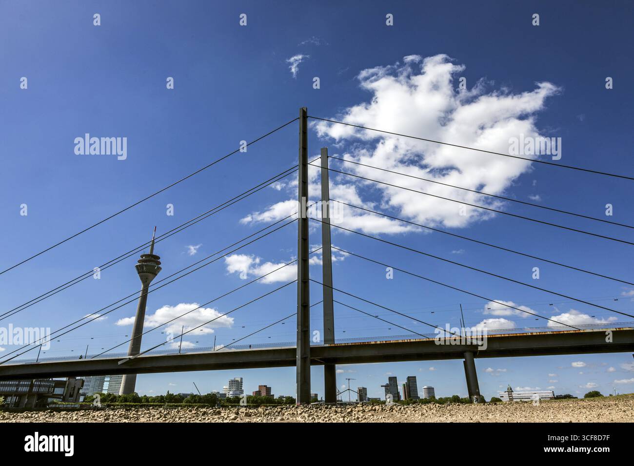 Der Rhein hat Niedrigwasser, große Teile des Flusses sind trocken, Blick auf die Rheinknie-Brücke und den Rheinturm - Düsseldorf, Nordrhein-Westfalen, Deutschland Stockfoto