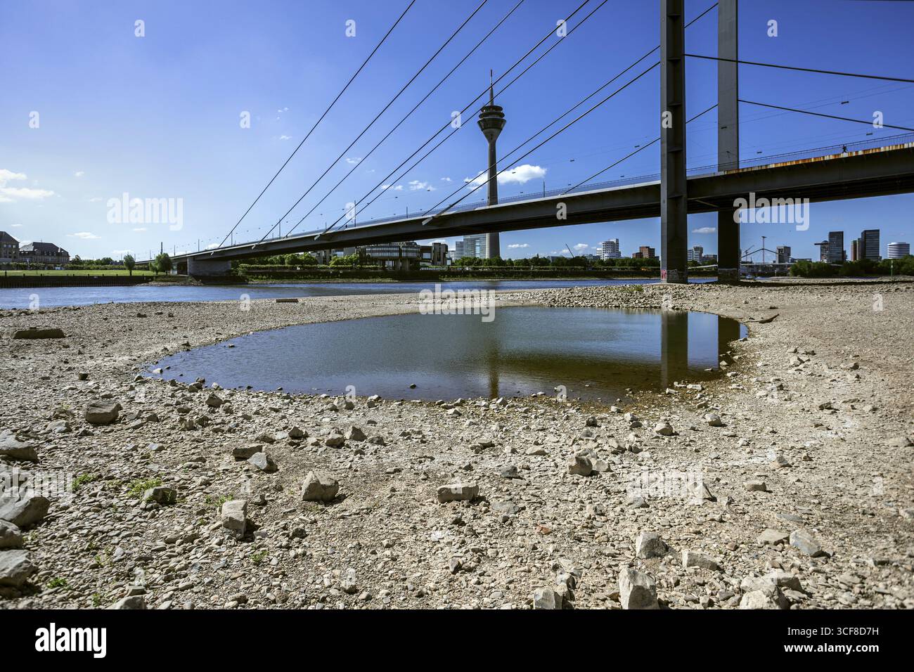 Der Rhein hat Niedrigwasser, große Teile des Flusses sind trocken, Blick auf die Rheinknie-Brücke und den Rheinturm - Düsseldorf, Nordrhein-Westfalen, Deutschland Stockfoto