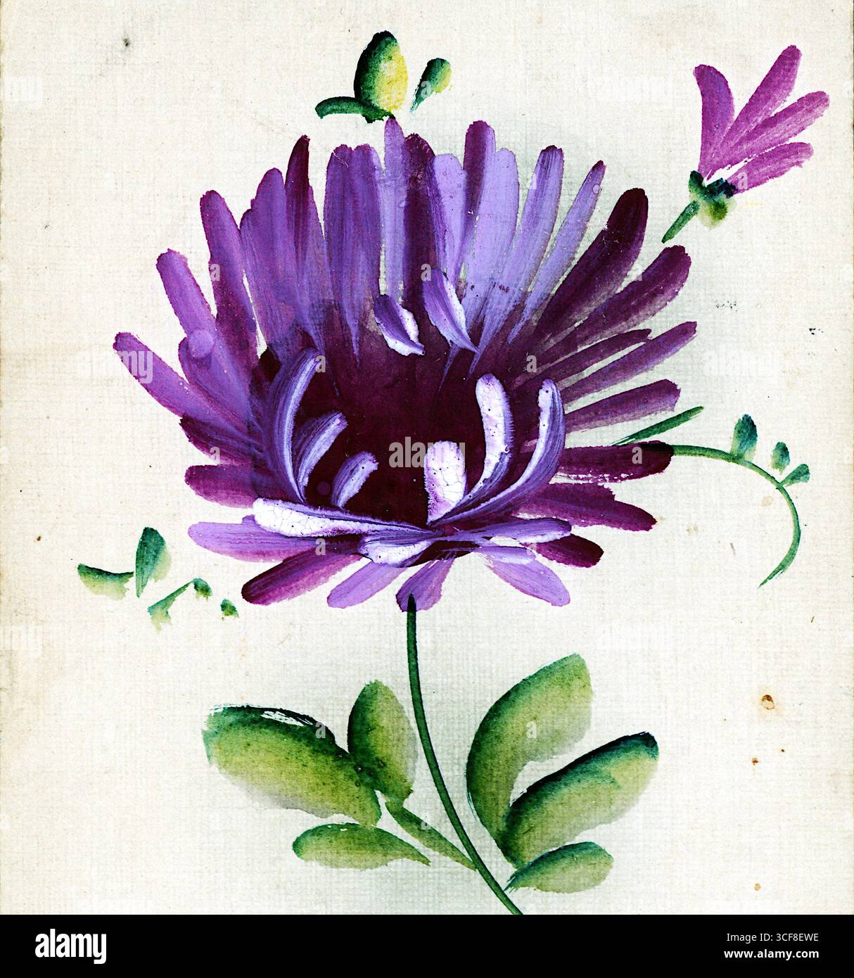 Diese handgemalte Blumenstube aus dem frühen 20. Jahrhundert zeigt eine reich strukturierte lila Blüte mit einer kastanienbraunen Mitte, flankiert von einer kleineren Knospe und grünen Blättern. Das Pinselwerk – sichtbar in den mehrschichtigen Blütenblättern und schattigem Laub – erinnert an den dekorativen Naturalismus, der in der edwardianischen Hauskunst bevorzugt wurde. Vor einem cremefarbenen Boden vereint die Komposition botanische Präzision mit ausdrucksstarker Blüte. Das Stück ist wahrscheinlich für den persönlichen oder lehrreichen Gebrauch bestimmt und spiegelt die Wertschätzung der Zeit für die kultivierte Schönheit und die handwerkliche Technik in der alltäglichen visuellen Kultur wider. Stockfoto