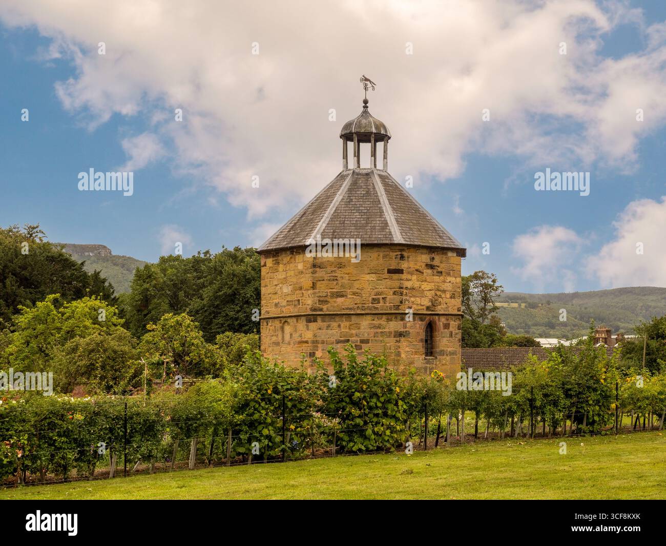 Das historische Taubenholz aus dem 14. Jahrhundert in Priory Gardens, eine beliebte Touristenattraktion in Guisborough, North Yorkshire, Großbritannien. Stockfoto