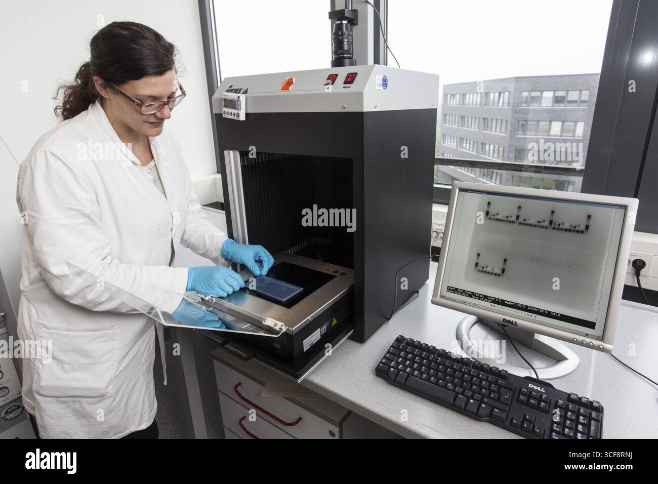 DNA-Gel-Elektrophorese zum Nachweis von Nukleinsäuren in der Biologischen Abteilung der Universität Duisburg-Essen. Die DNA wird mit Hilfe von Mitteln sichtbar gemacht Stockfoto