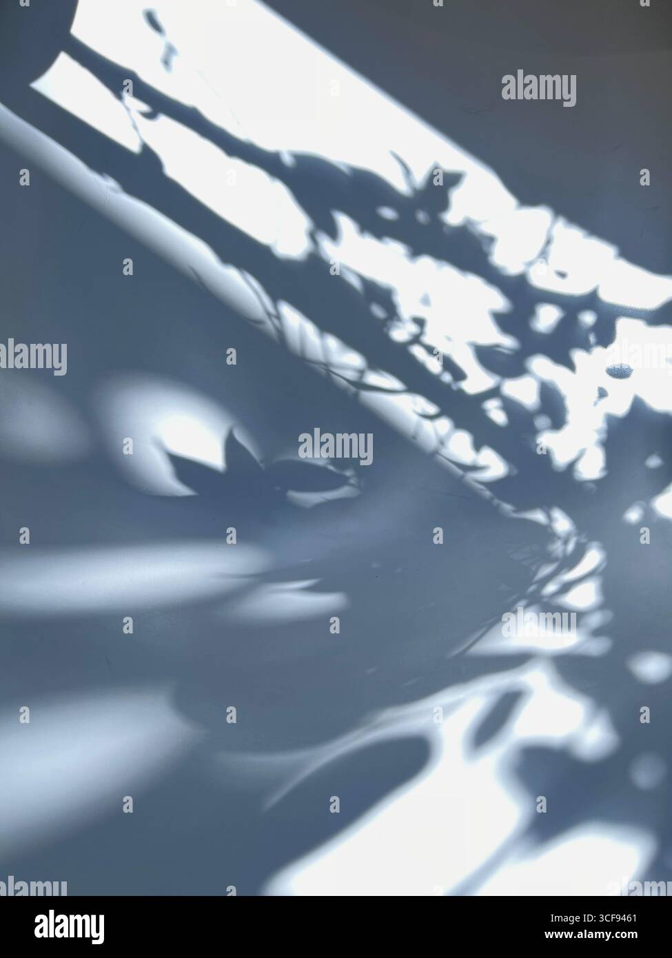 Schatten von Pflanzen auf Möbeln in einem Café Stockfoto