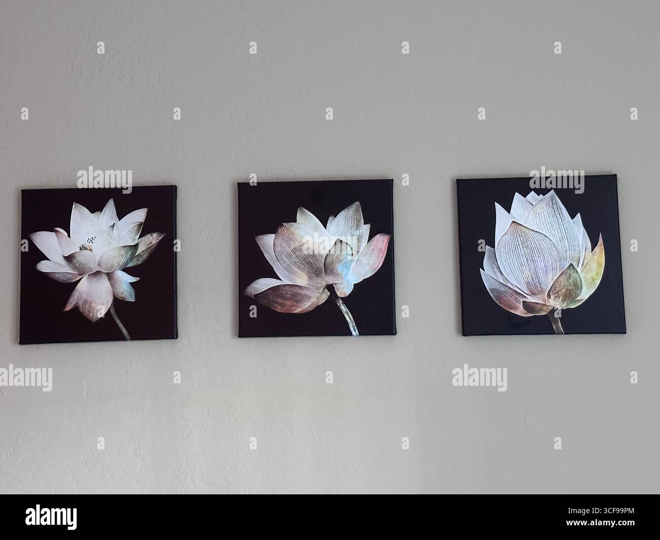 Minimalistisches Innendekor mit drei Lotusblumenmalereien in einem Triptychon-Arrangement an einer einfachen Wand. Stockfoto