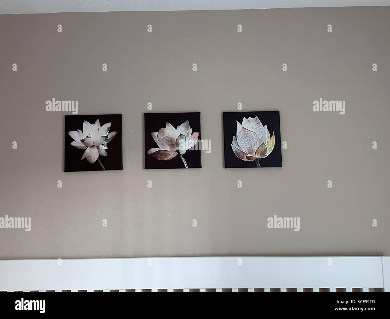 Minimalistisches Innendekor mit drei Lotusblumenmalereien in einem Triptychon-Arrangement an einer einfachen Wand. Stockfoto