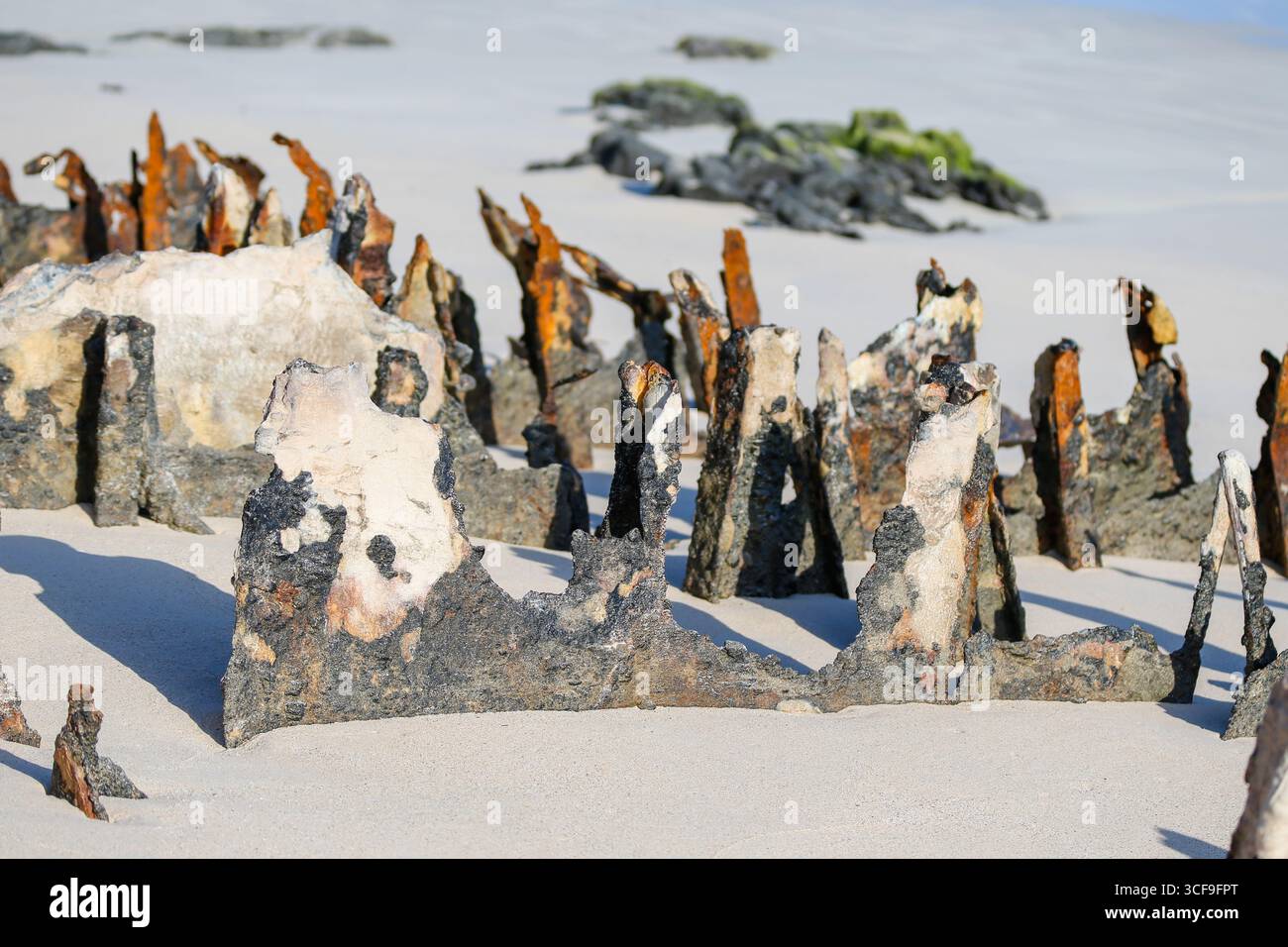 Rostende Überreste des Zweiten Weltkriegs kähnen auf dem Sand am Strand von Bachas, Santa Cruz, Galápagos-Inseln, Ecuador. Die Wracks wurden von der zurückgelassen Stockfoto