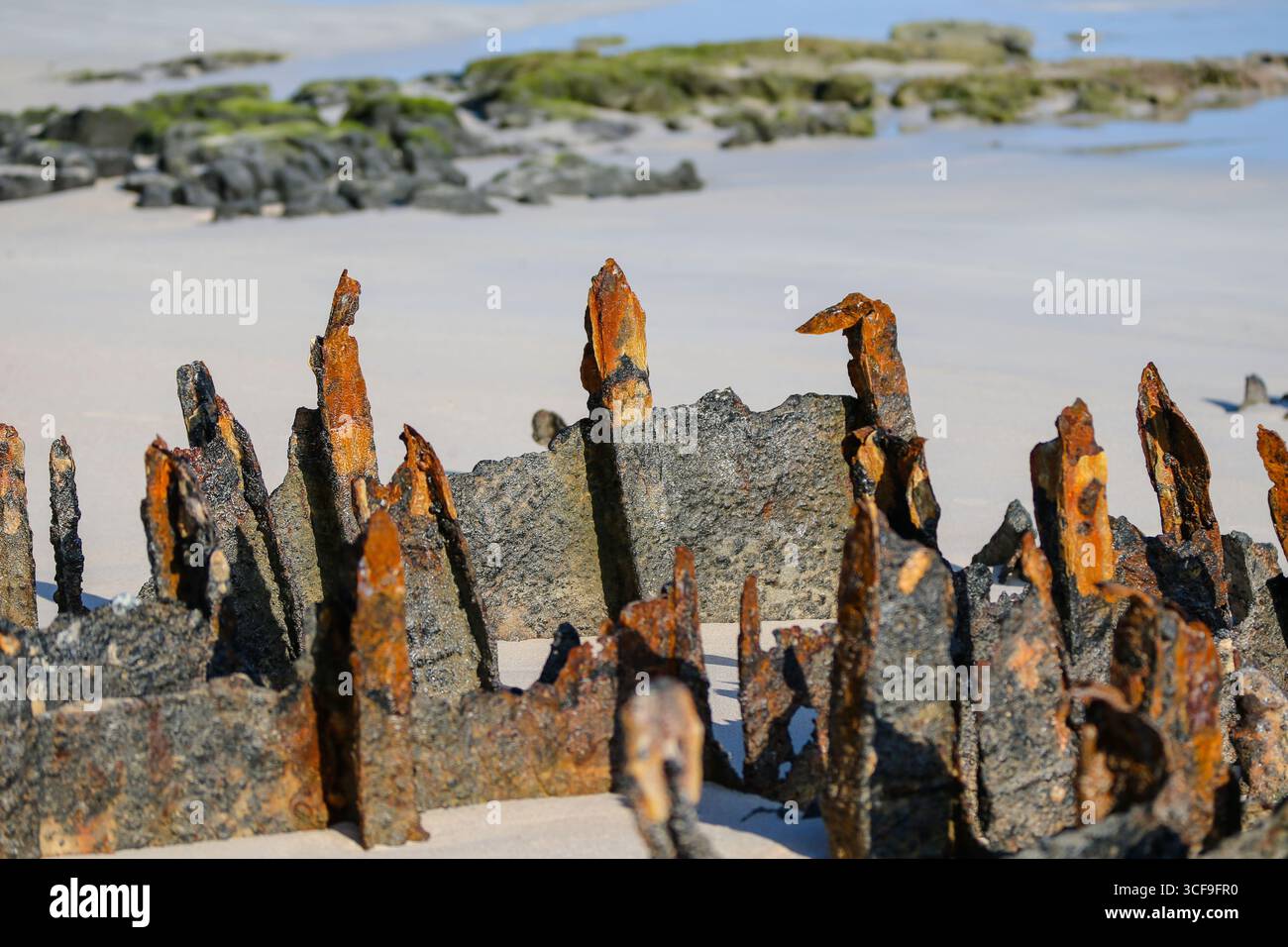 Rostende Überreste des Zweiten Weltkriegs kähnen auf dem Sand am Strand von Bachas, Santa Cruz, Galápagos-Inseln, Ecuador. Die Wracks wurden von der zurückgelassen Stockfoto