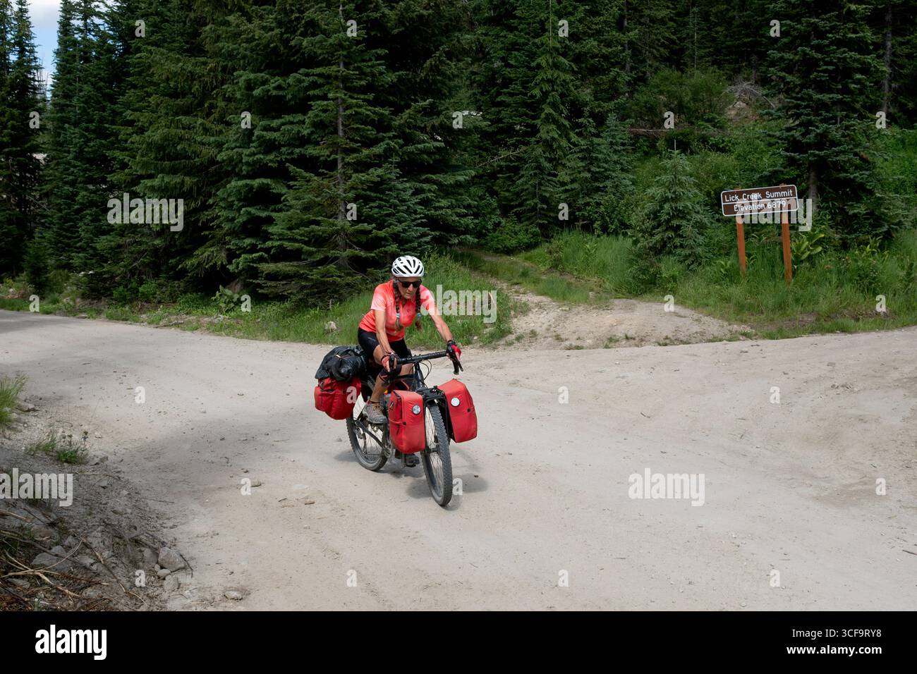 ID01195-00....IDAHO - Lick Creek Summit auf der Forest Service Road 412, Payette National Forest. MR#S1 Stockfoto
