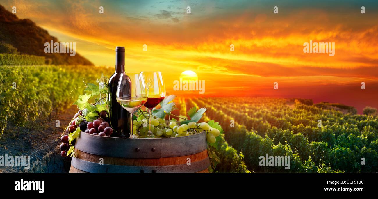Wein - Weingläser Mit Flaschen Und Trauben Auf Barrel In Vineyard - Ländliche Landschaft Bei Sonnenuntergang Stockfoto