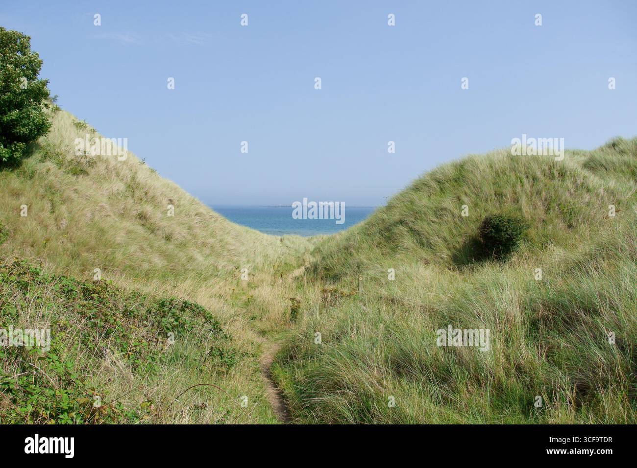 Entfernte Insel an der Küste von Northumberland Stockfoto