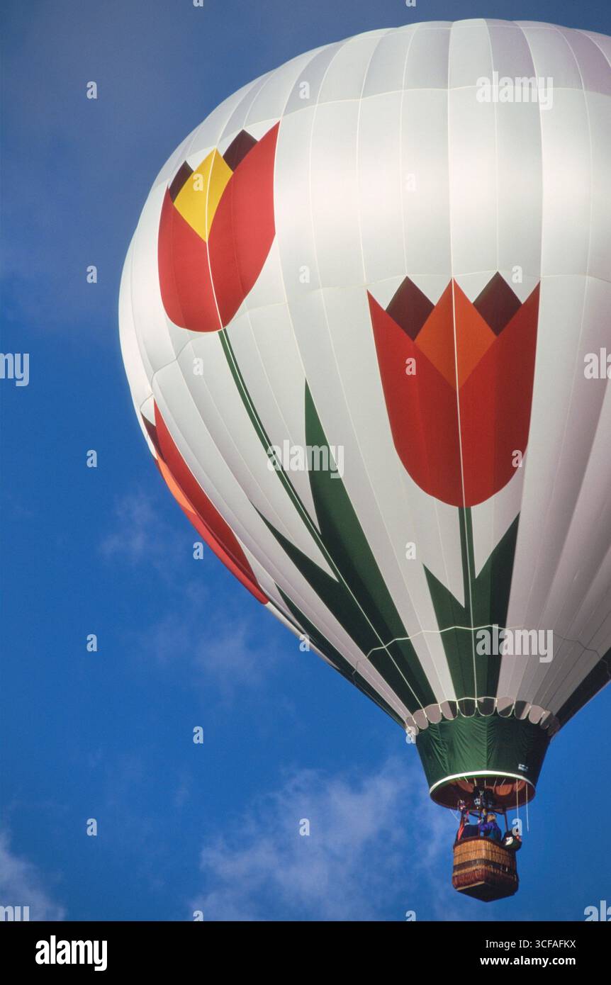 Rote Tulpen an den Seiten des Heißluftballons bei der Kodak Albuquerque International Balloon Fiesta 1998 in Albuquerque, Bernalillo County, New Mexico, USA Stockfoto