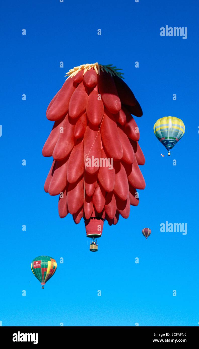 Der Heißluftballon La Ristra ITA (Albuquerque, NM) bei der Kodak Albuquerque International Balloon Fiesta 1998 in Albuquerque, Bernalillo County, New Me Stockfoto