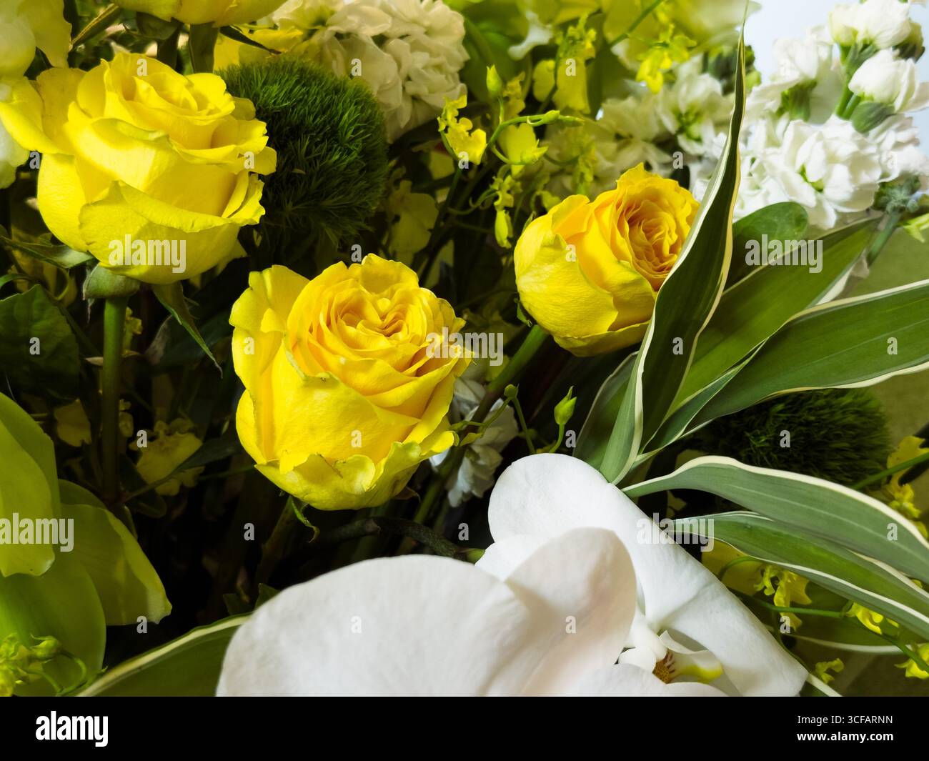 Ein lebhaftes Blumenarrangement mit leuchtend gelben Rosen und eleganten weißen Orchideen, die mit satten Farbkontrasten detailliert erfasst werden. Stockfoto