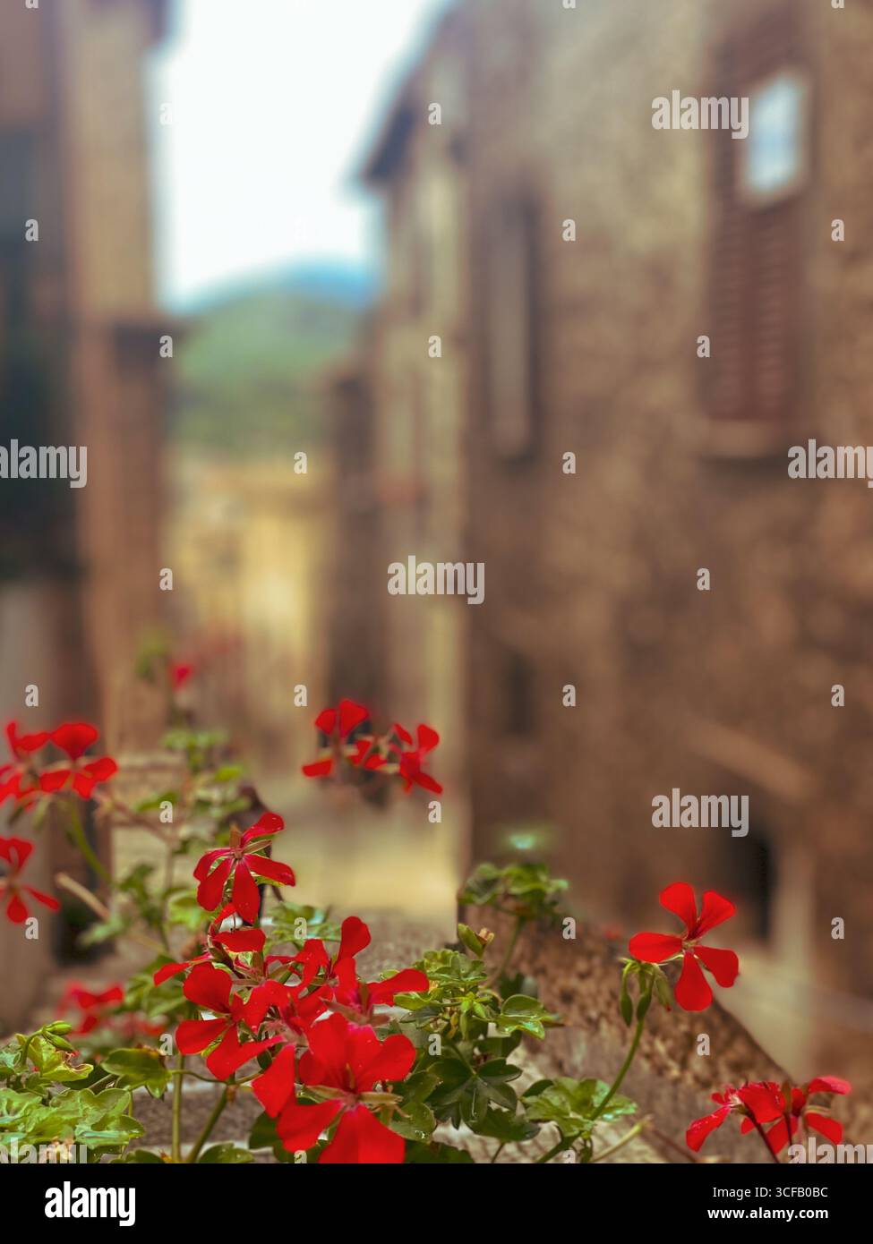Rote Geranien schmücken hölzerne Balkongeländer mit Blick auf die Kopfsteinpflasterstraße im historischen Dorf Scanno, Region Abruzzen, Italien Stockfoto