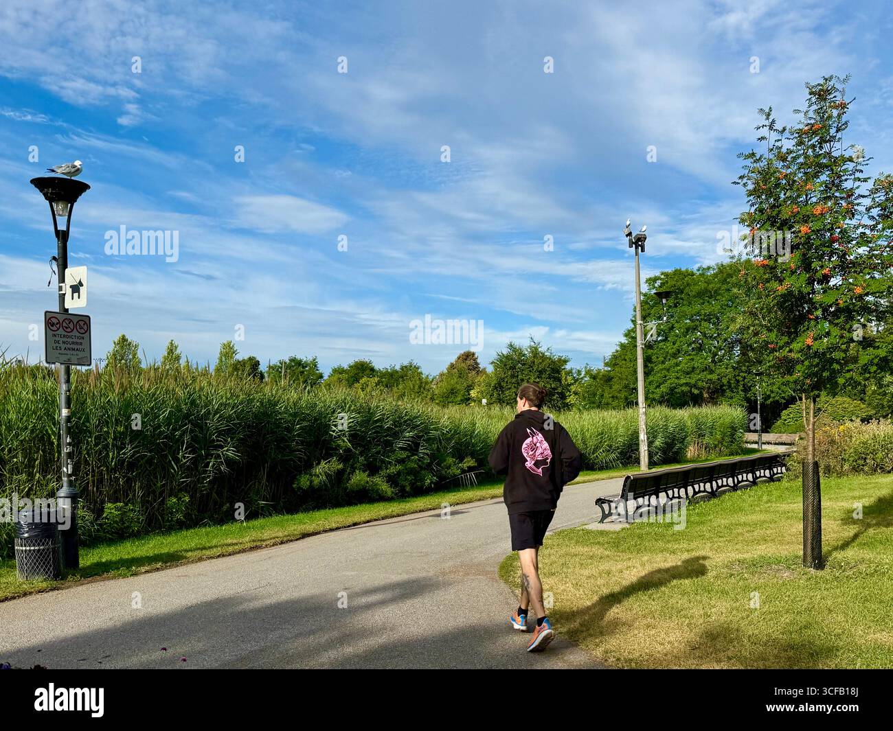 Jarry Park, Montreal, Kanada Stockfoto