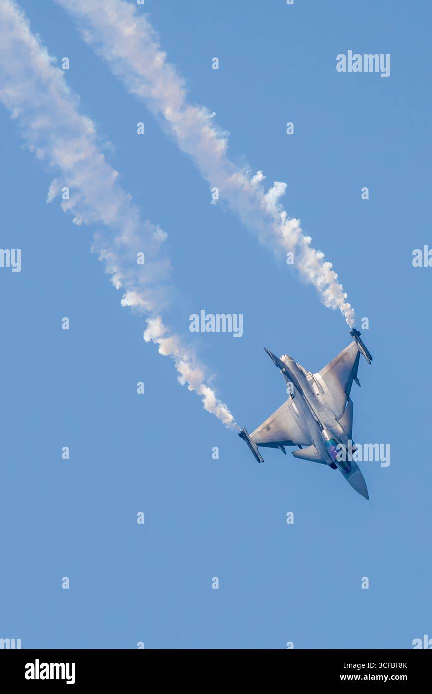 Avión de Combat Saab 39 Gripen en el Festival aéreo de Motril Stockfoto