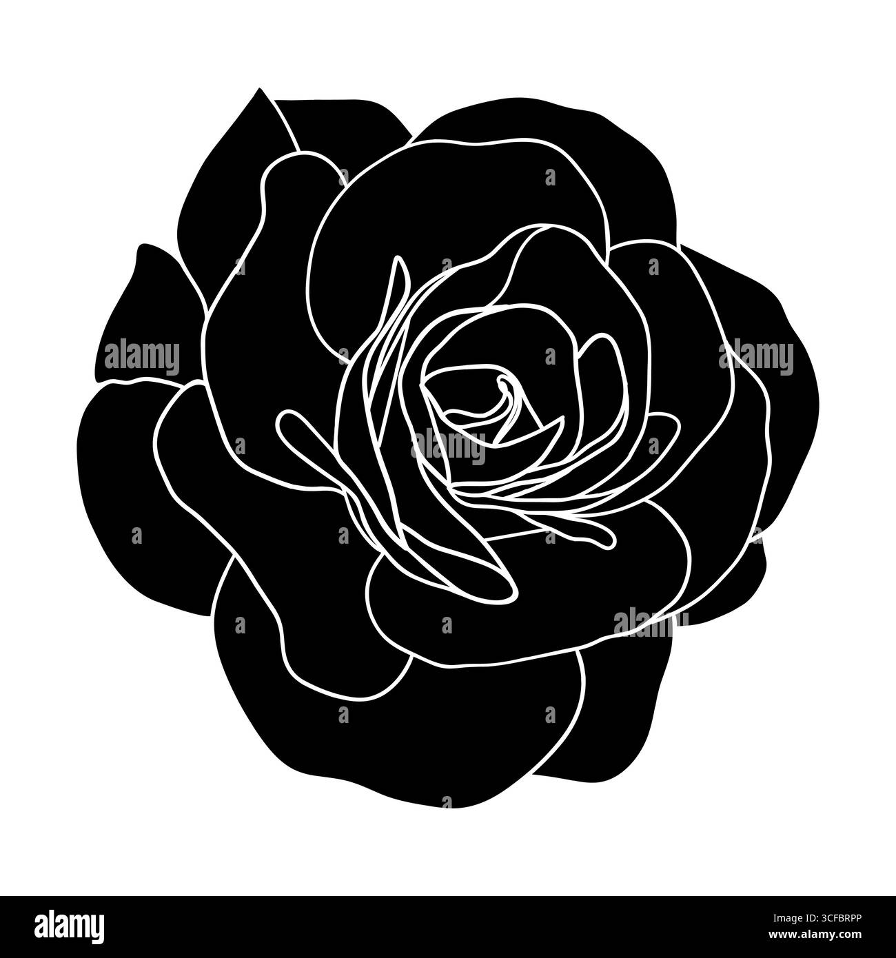 Kamelie Blumen Silhouette Vektor Kamelie und Rose Blume Kopf für Frühling isoliert in weißem Hintergrund. Vektorabbildung Stock Vektor