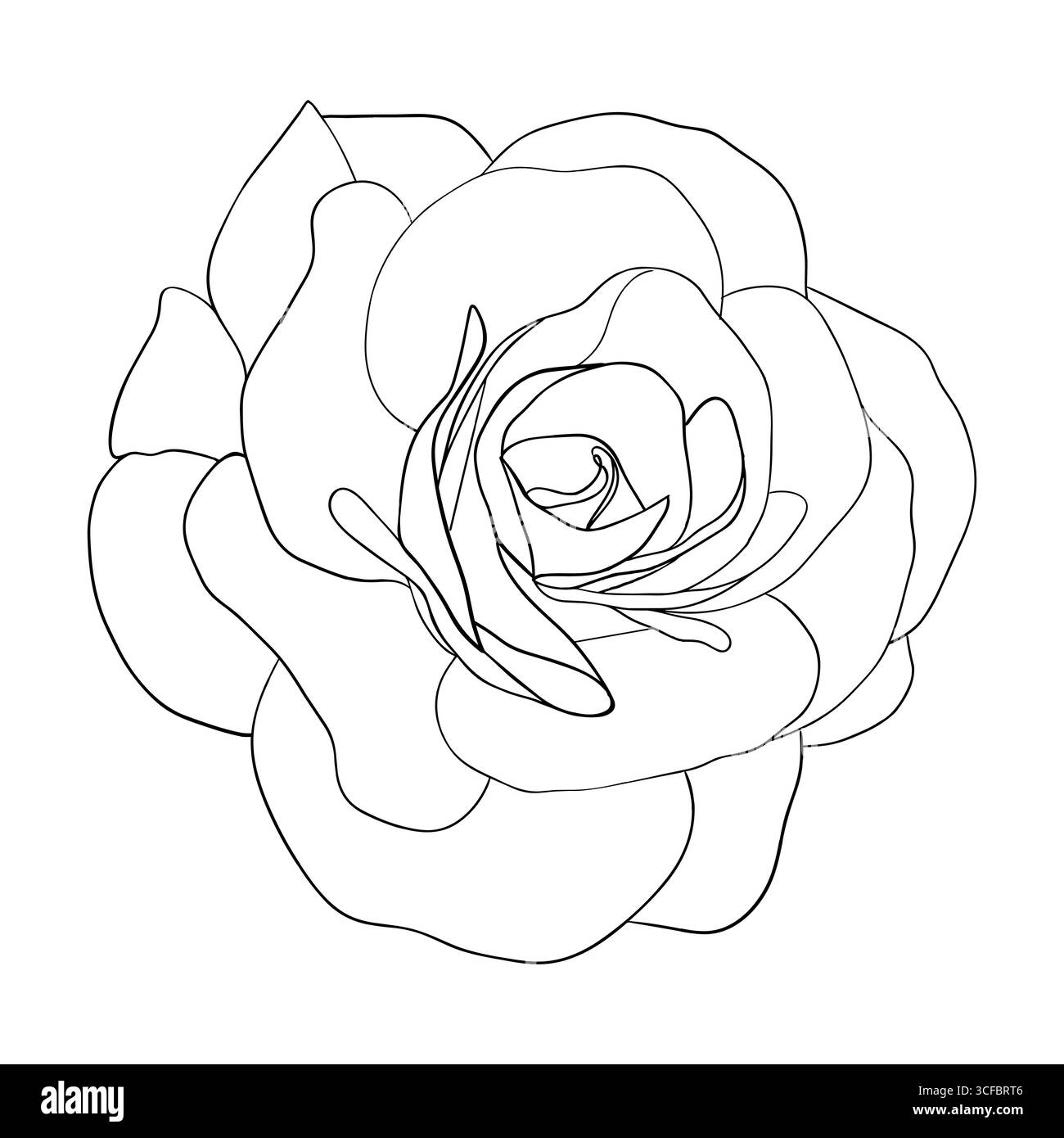 Kamelie Blumen Linie Art Vektor Kamelie und Rose Blume Kopf für Frühling isoliert in weißem Hintergrund. Vektorabbildung. Stock Vektor