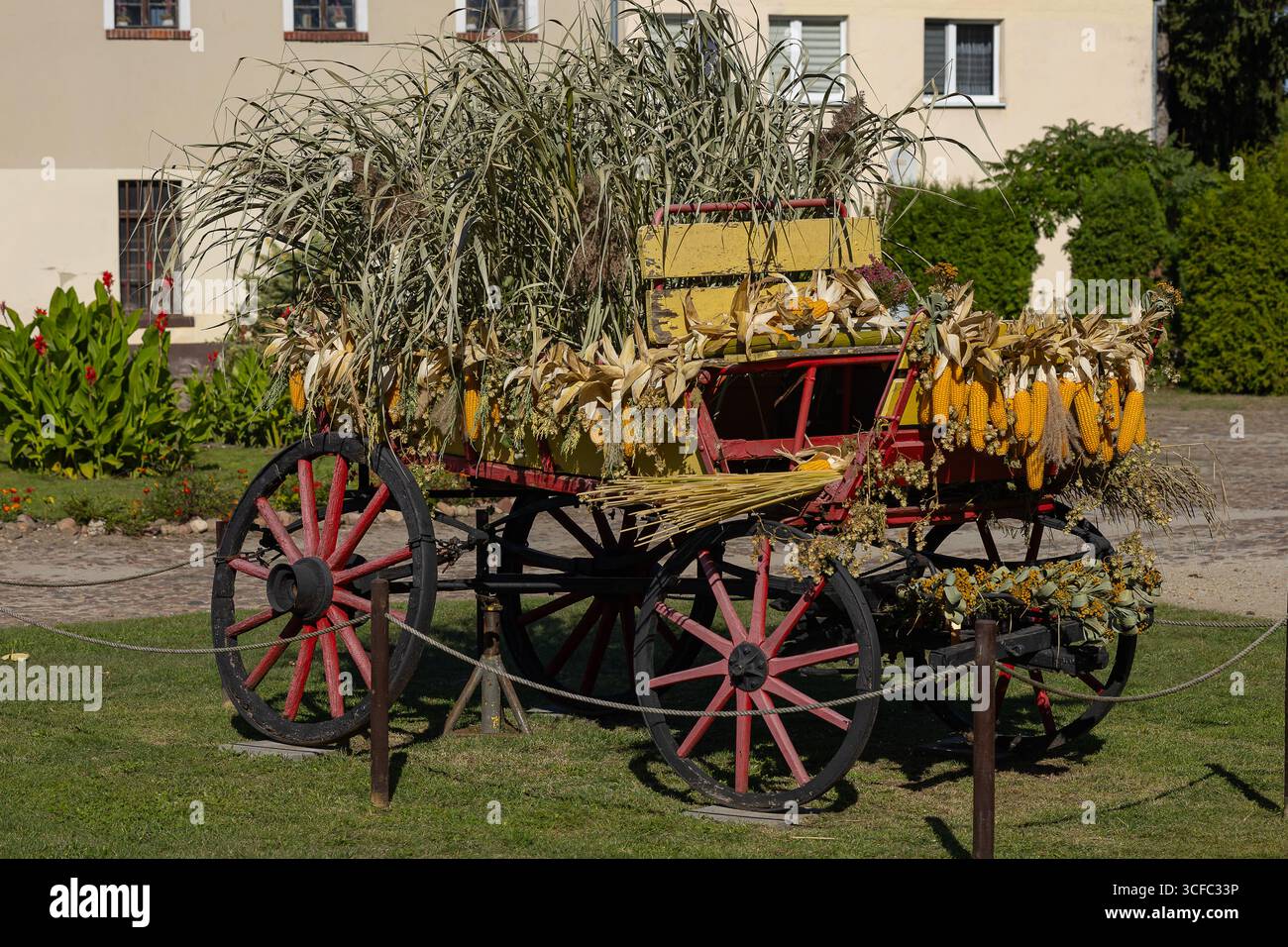 Dekorierter Holzwagen mit gelben Maiskolben, getrocknetem Gras und rustikalen Pflanzen, die als traditionelle Ernte im Dorfhof an sonnigen Tagen verwendet werden Stockfoto