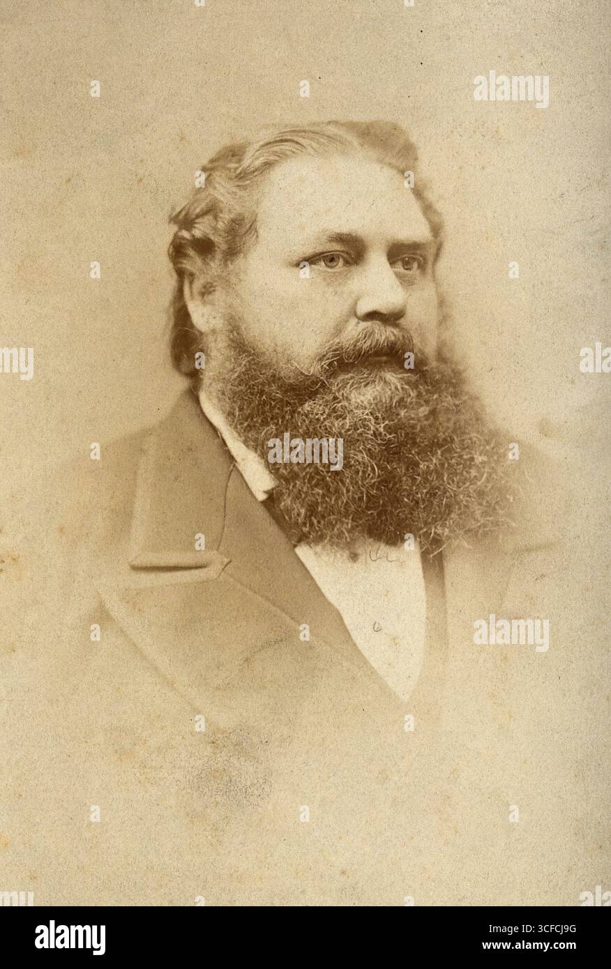 John Milner Fothergill, Ende des 19. Jahrhunderts. Britischer Arzt und medizinischer Schriftsteller. Stockfoto