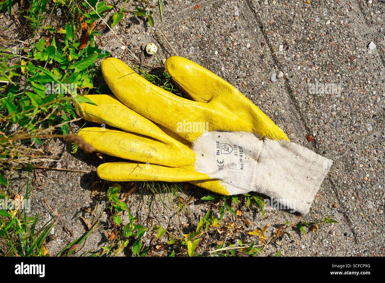 Handschuh eines Hafenarbeiters im Hafengebiet von Hamburg, Deutschland *** Handschuh eines Hafenarbeiters im Hafengebiet von Hamburg, Deutschland Stockfoto