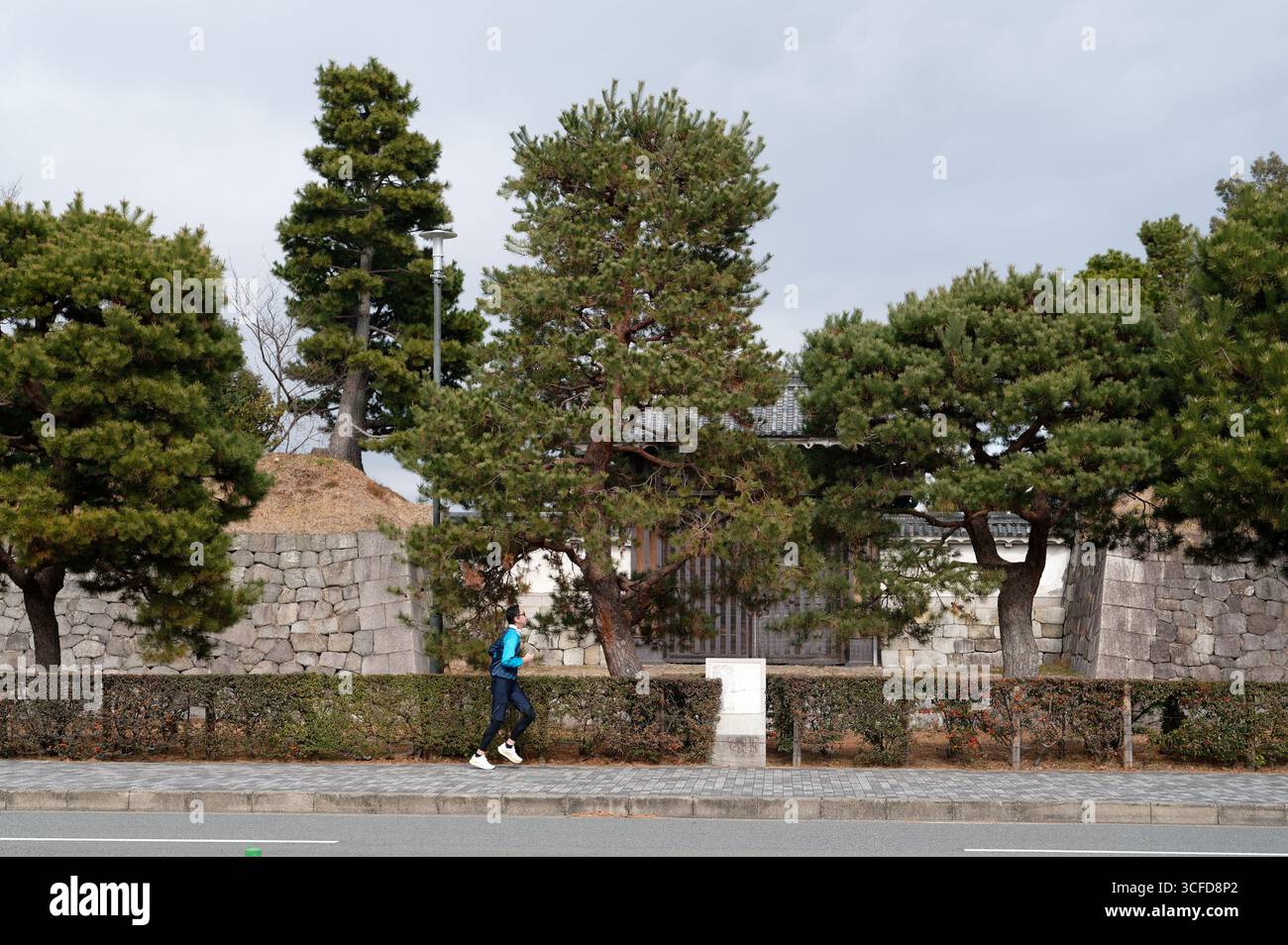Jogger in blauer Jacke läuft an den Steinmauern und Pinienbäumen vorbei, die das historische Schloss Nijo in Kyoto umgeben Stockfoto