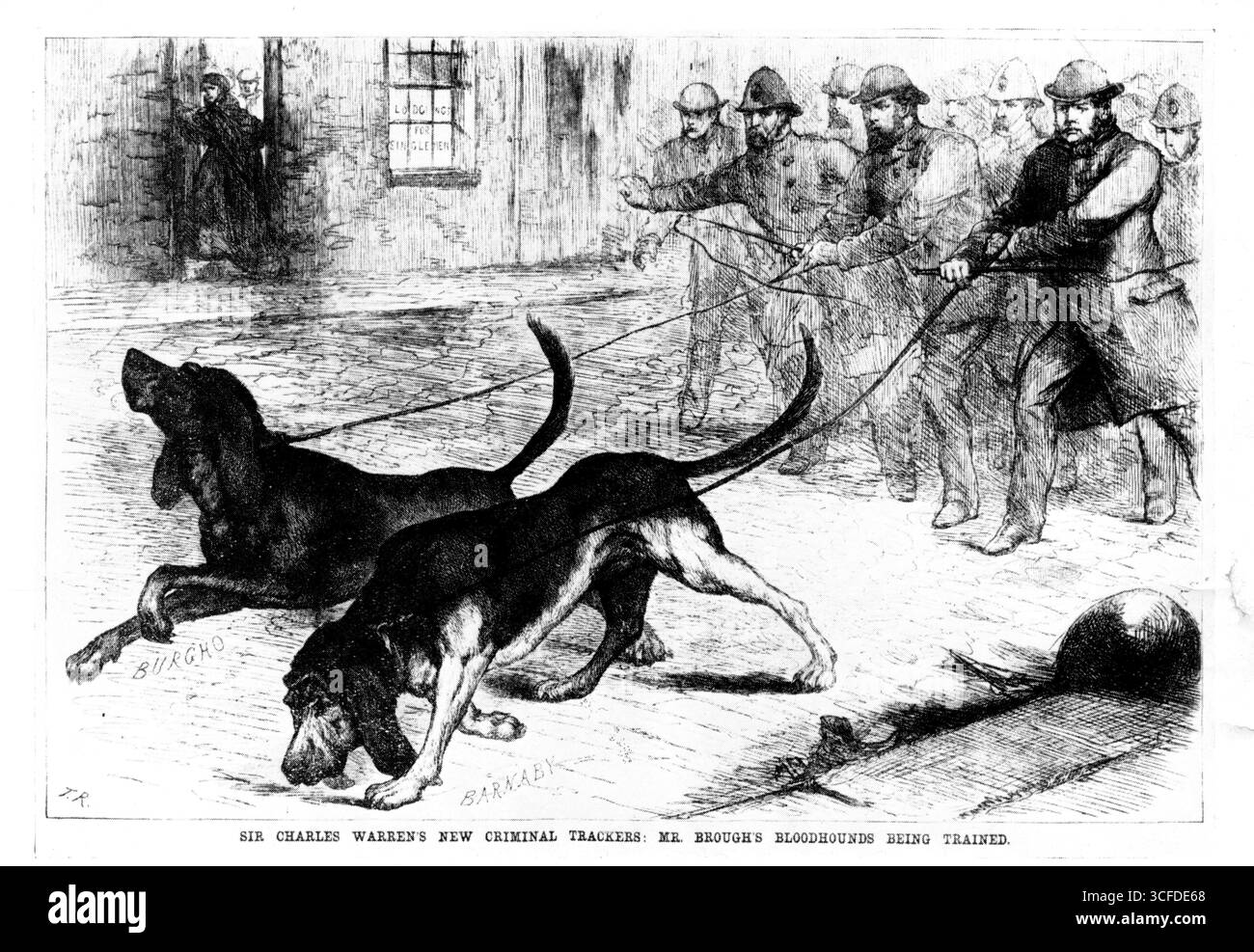 Sir Charles Warrens neue kriminelle Tracker - Mr. Brough's Bloodhounds - wurden Penny Illustrated Paper ausgebildet - die Bloodhounds lieferten dringend benötigte komische Erleichterung für die ansonsten reine Tragödie. Sobald sie nach London gebracht wurden, verirrten sich diese „schlauen Bestien“ im Nebel. Aufreißkoffer 1888 aufbocken Stockfoto