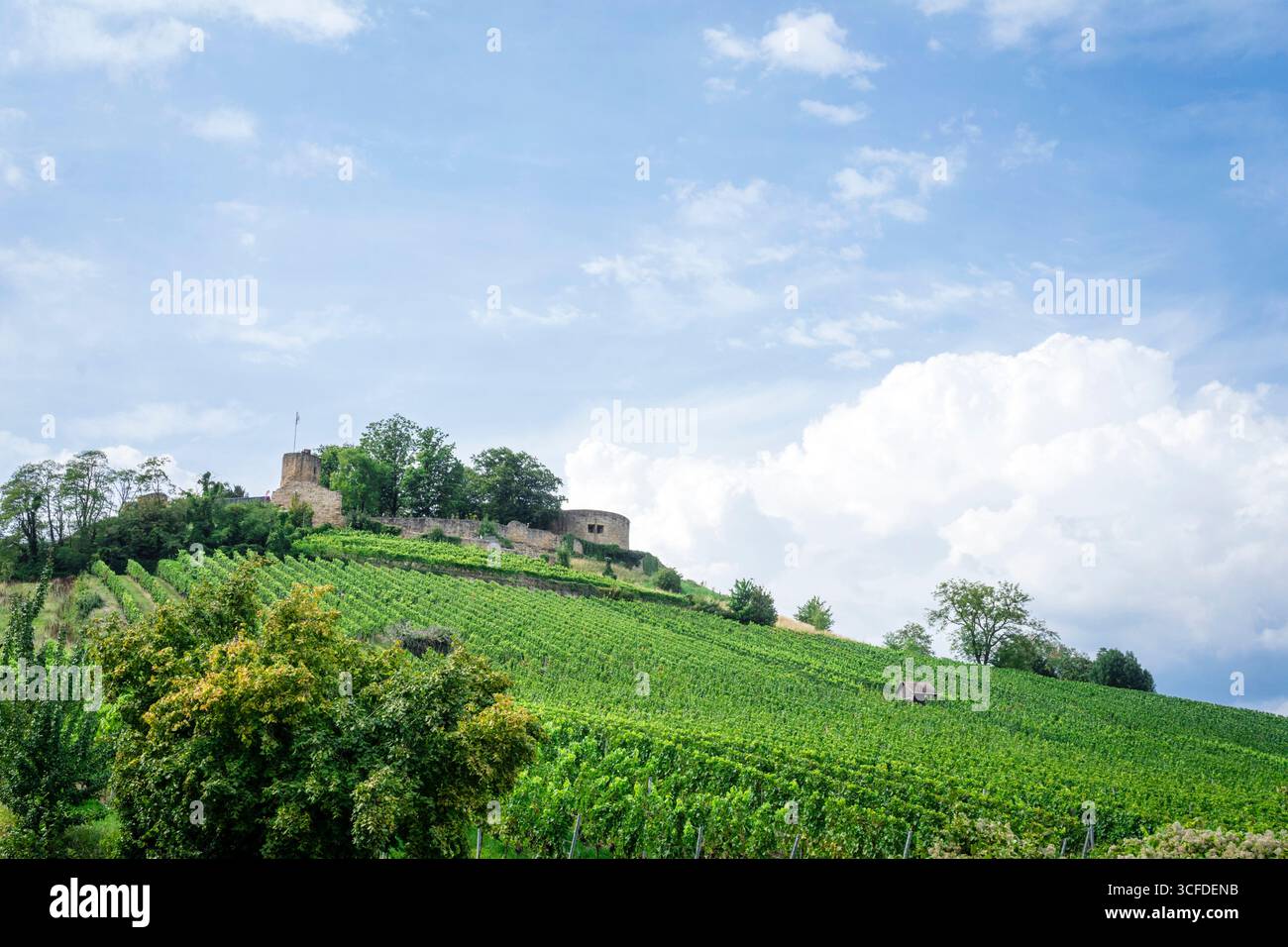 Die Stadt Weinsberg mit Schloss Weibertreu Stockfoto