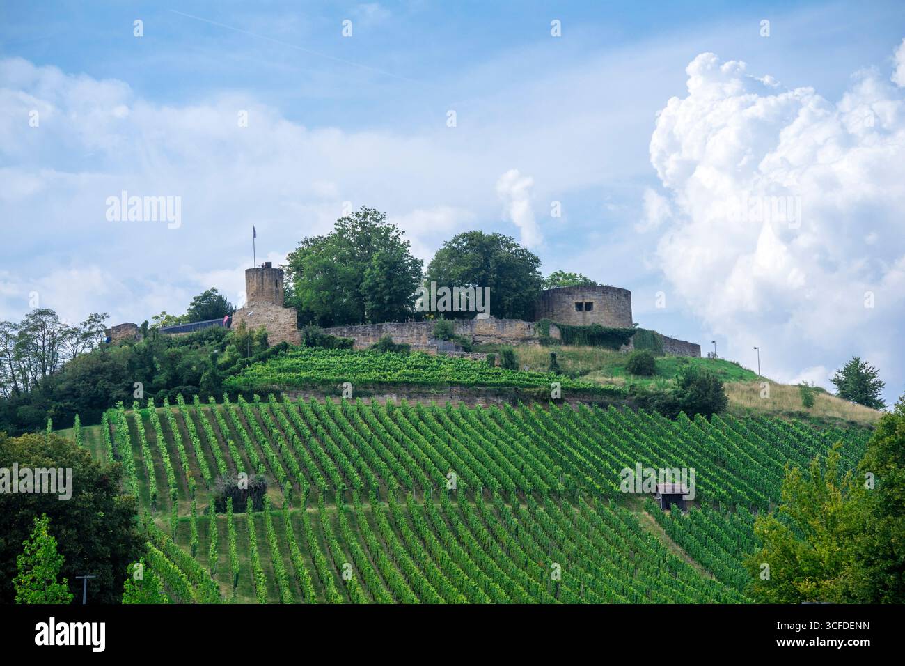 Die Stadt Weinsberg mit Schloss Weibertreu Stockfoto