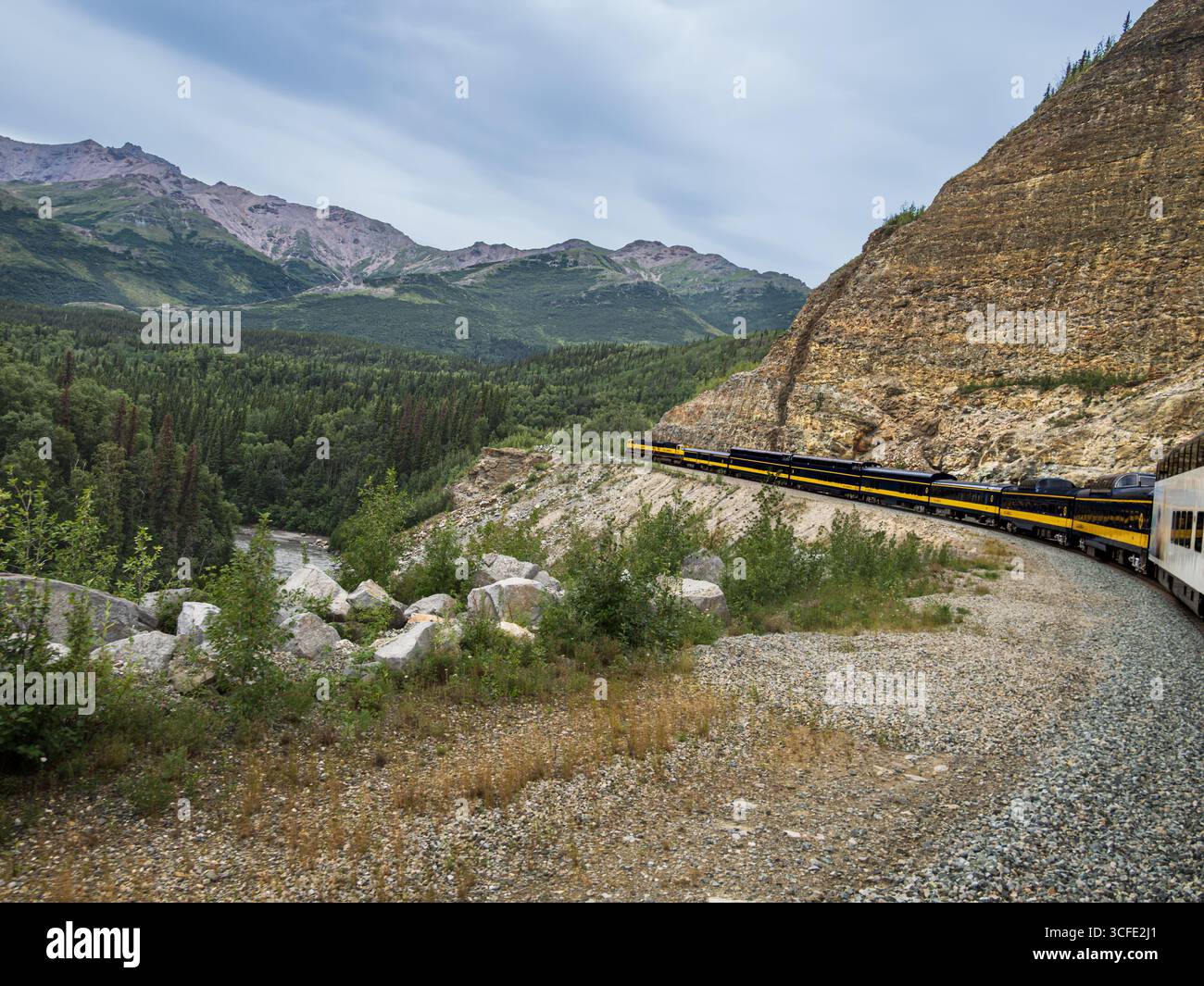 Der Alaska Express von Fairbanks in der Nähe von Talkeetna, Alaska, USA Stockfoto