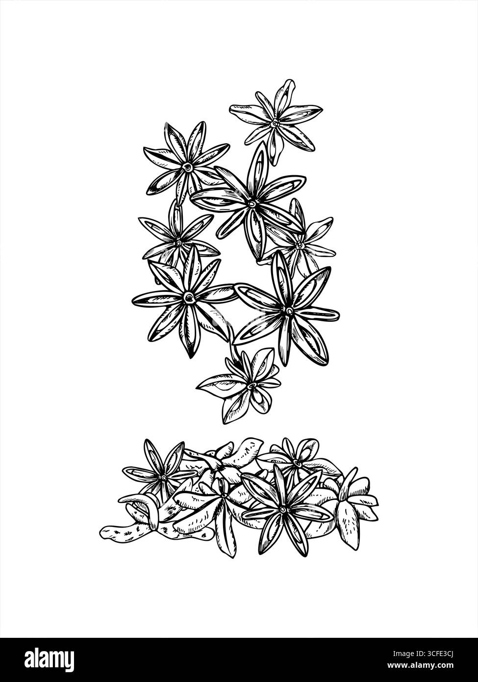 Fallende Sternanisschoten in Stapelvektorillustration gemalt mit schwarzen Tinten. Einfarbig fliegende Ganzsternanis- oder badianische Ätzzeichnung. Stock Vektor