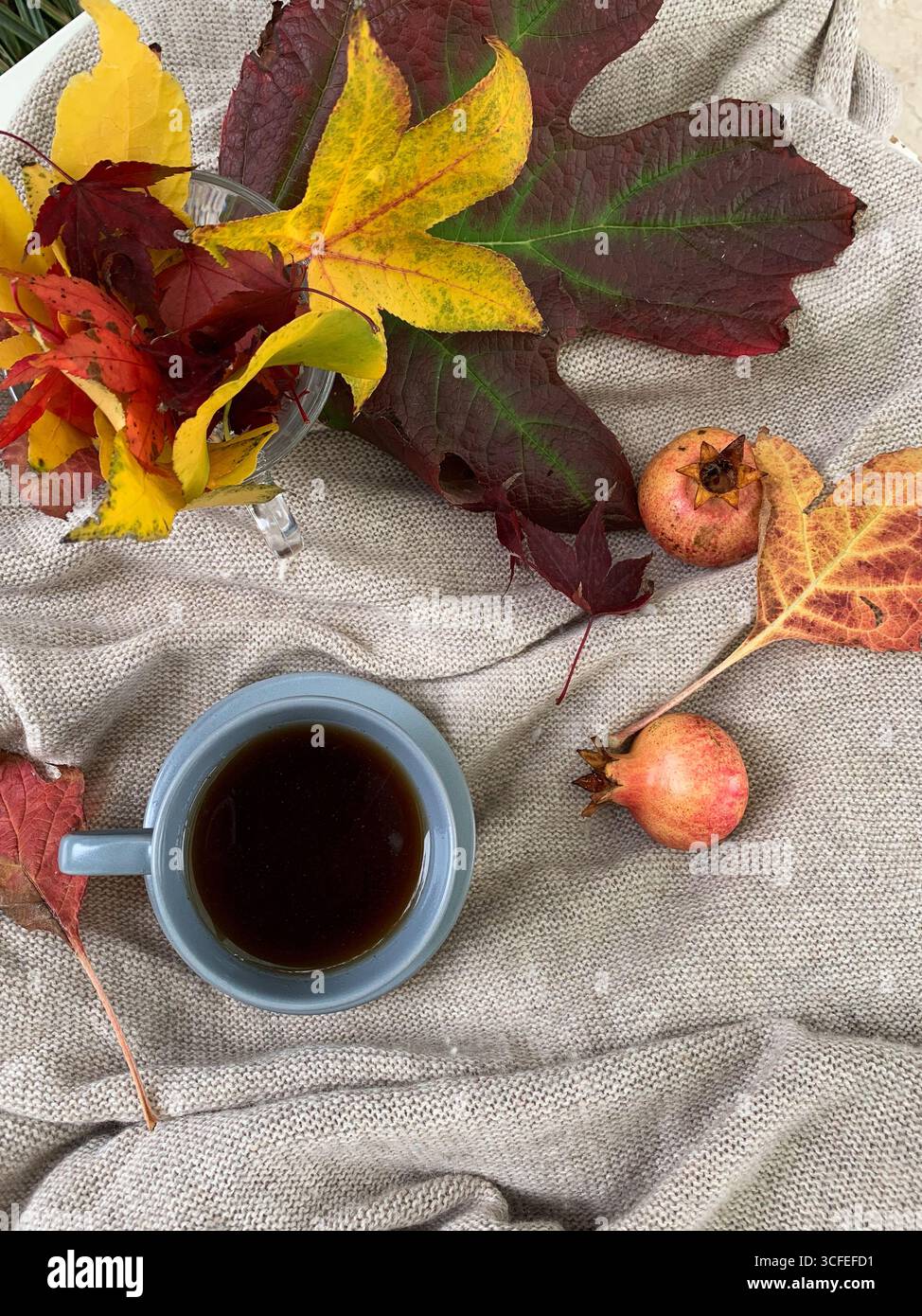 Tasse Tee mit Herbstblättern und Granatäpfeln auf einem warmen Pullover. Gemütliche Herbststimmung und Entspannungskonzept. Draufsicht, flach. Herbstkomposition. - Smartphone-aufgenommenes Stockfoto