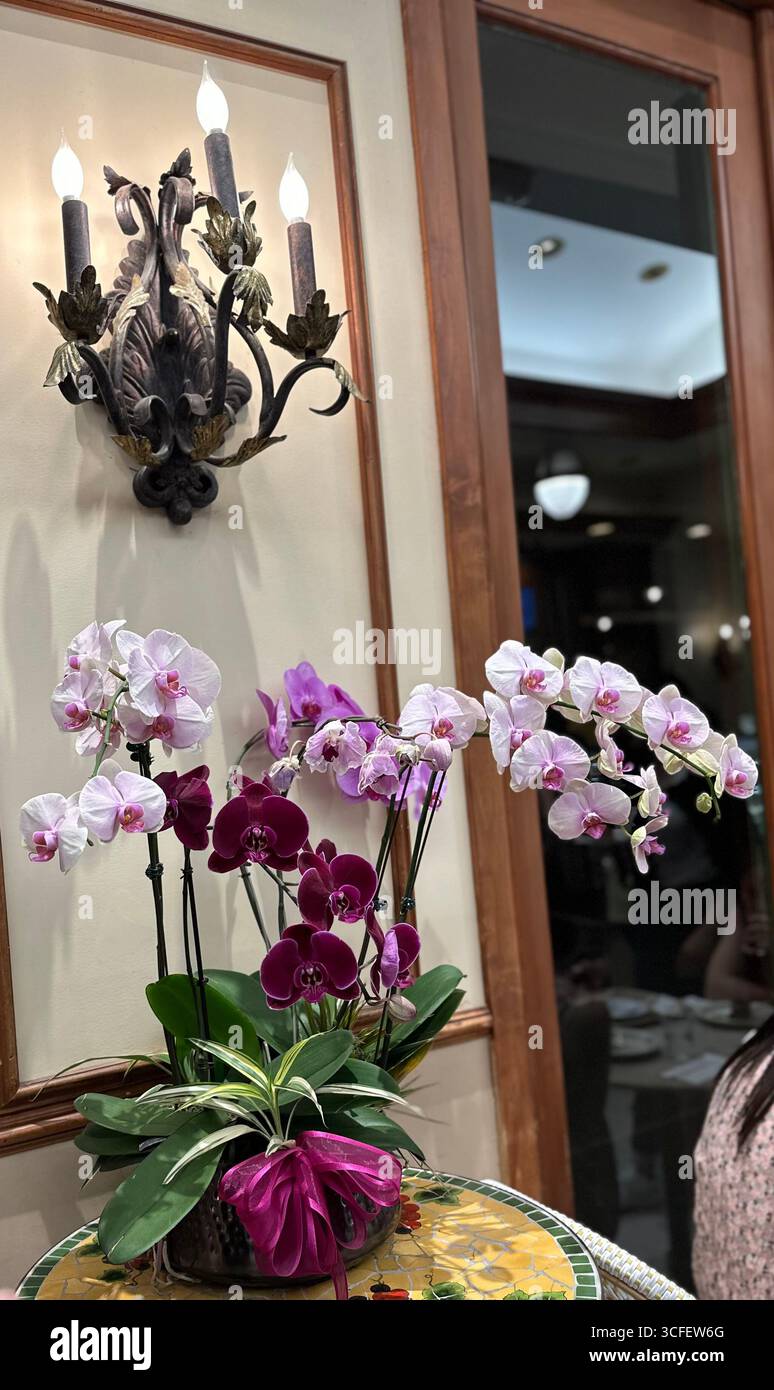Elegantes Orchideengestell auf Mosaiktisch im Indoor Café Stockfoto