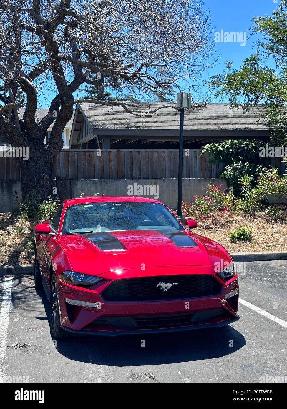 Ein leuchtend roter Ford Mustang Sportwagen parkte an einem sonnigen Tag auf einem Parkplatz. Das moderne Coupé verfügt über ein schlankes Design, schwarze Leichtmetallfelgen und einen Stockfoto