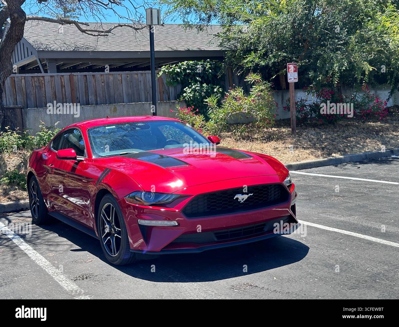 Ein leuchtend roter Ford Mustang Sportwagen parkte an einem sonnigen Tag auf einem Parkplatz. Das moderne Coupé verfügt über ein schlankes Design, schwarze Leichtmetallfelgen und einen Stockfoto