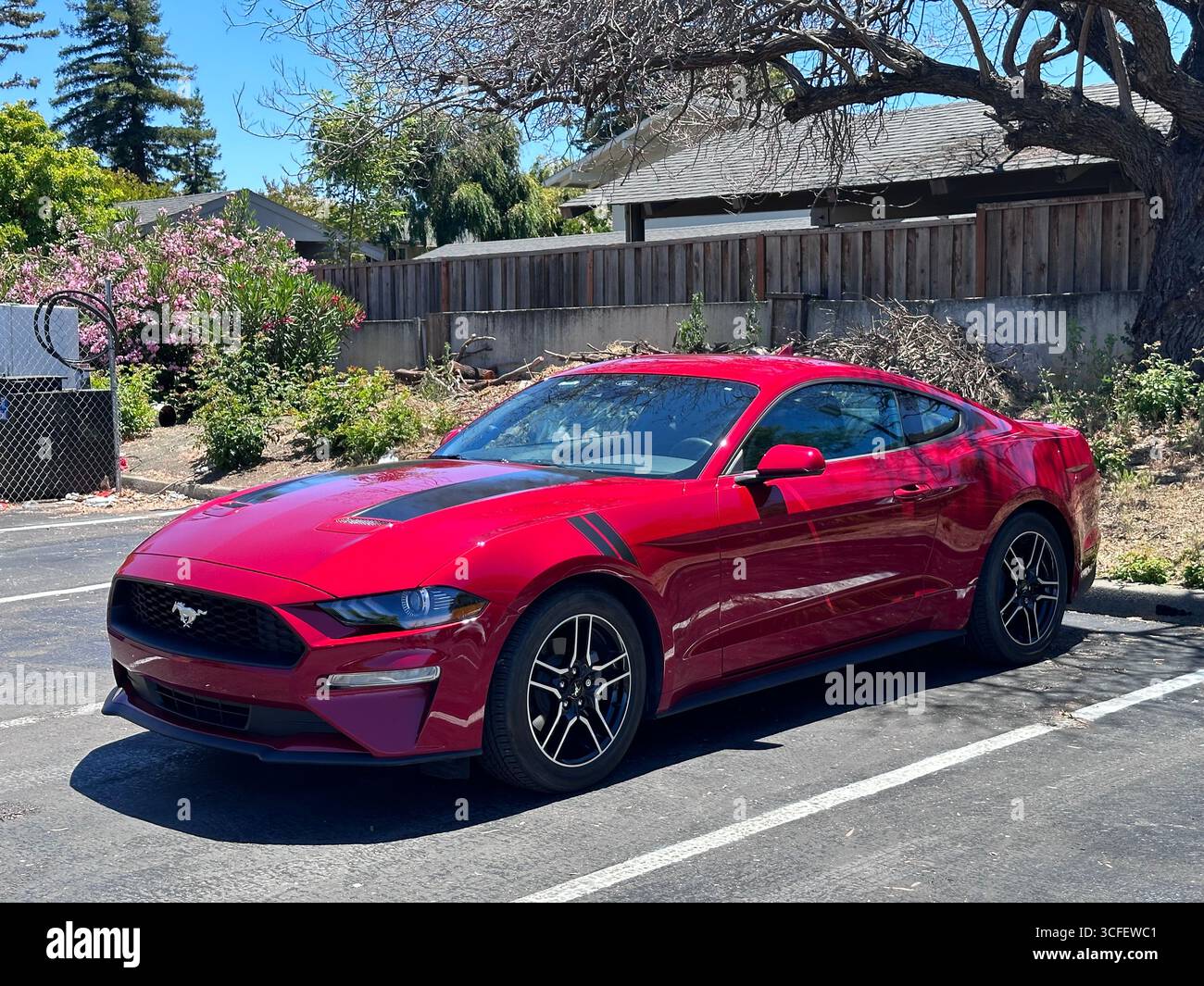 Ein leuchtend roter Ford Mustang Sportwagen parkte an einem sonnigen Tag auf einem Parkplatz. Das moderne Coupé verfügt über ein schlankes Design, schwarze Leichtmetallfelgen und einen Stockfoto
