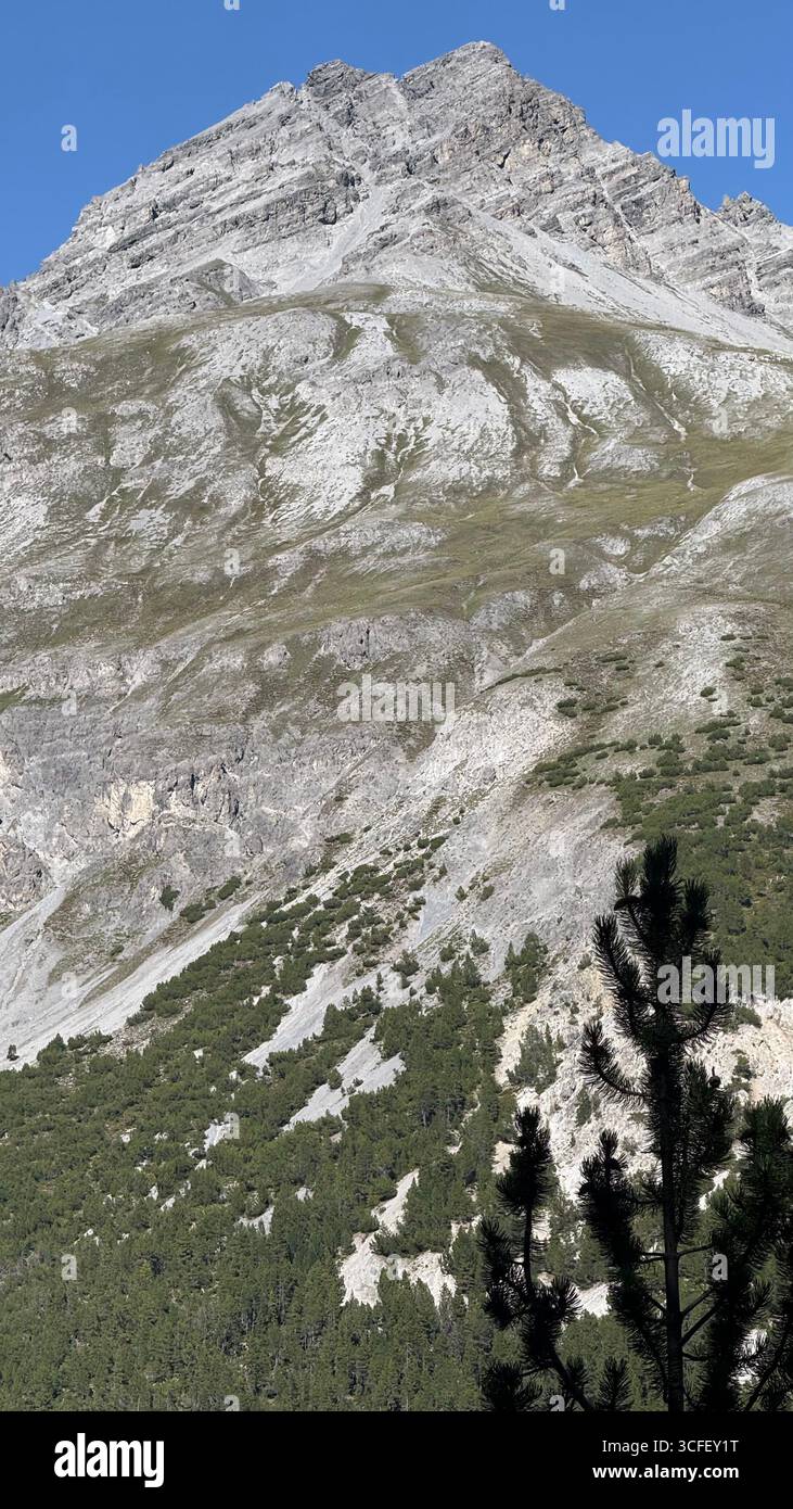 Schweizer Berg, gekennzeichnet durch exponierten Felsen mit verschiedenen Grautönen und einigen grünen Flecken Stockfoto