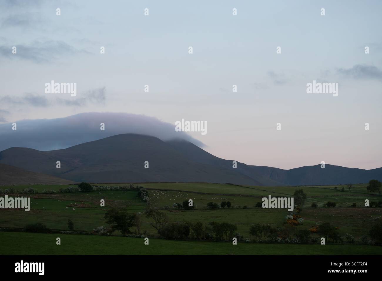 Eine friedliche Dämmerungslandschaft mit sanften Bergen, die teilweise von weichen, tief hängenden Wolken umgeben sind. Unten erstrecken sich ausgedehnte grüne Felder nach außen Stockfoto