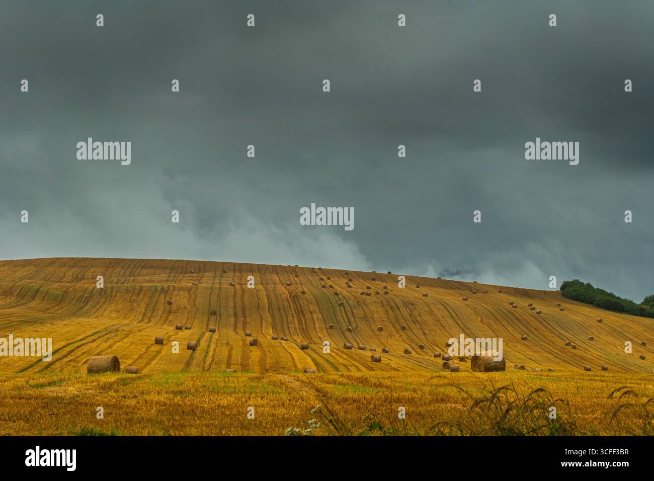 Gemähtes Feld mit vielen Heuballen unter dramatischem Himmel vor Regen Stockfoto