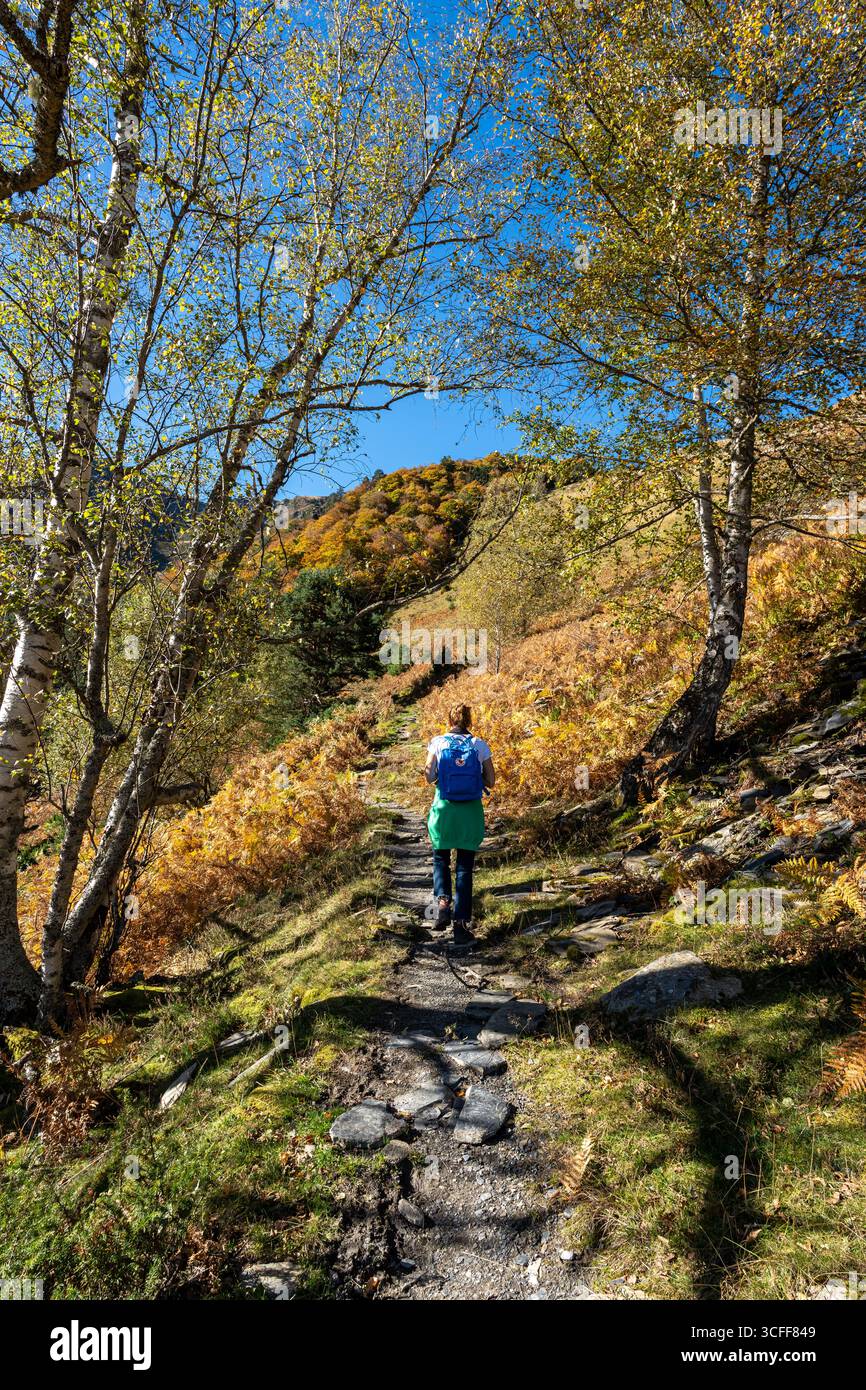 Frau, die im Herbst im Wald läuft. Pyrenäen, Frankreich. Aufnahmen von hinten. Stockfoto